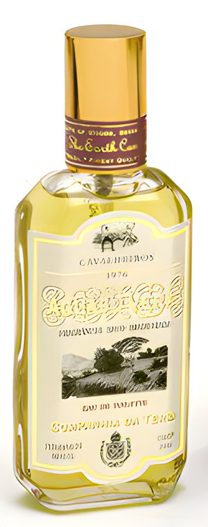 Aguas de Verao Cavalheiros by Companhia da Terra perfume bottle