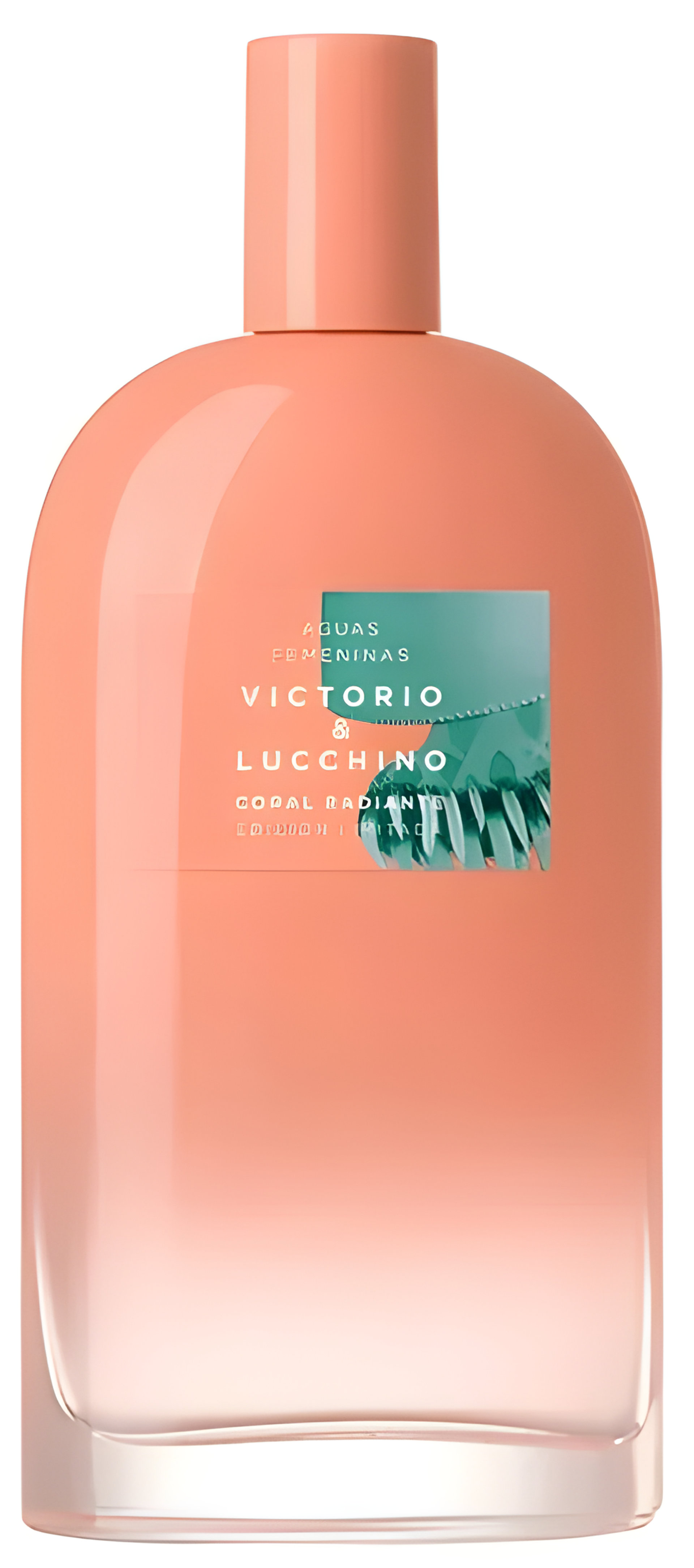 Picture of Coral Radiante fragrance