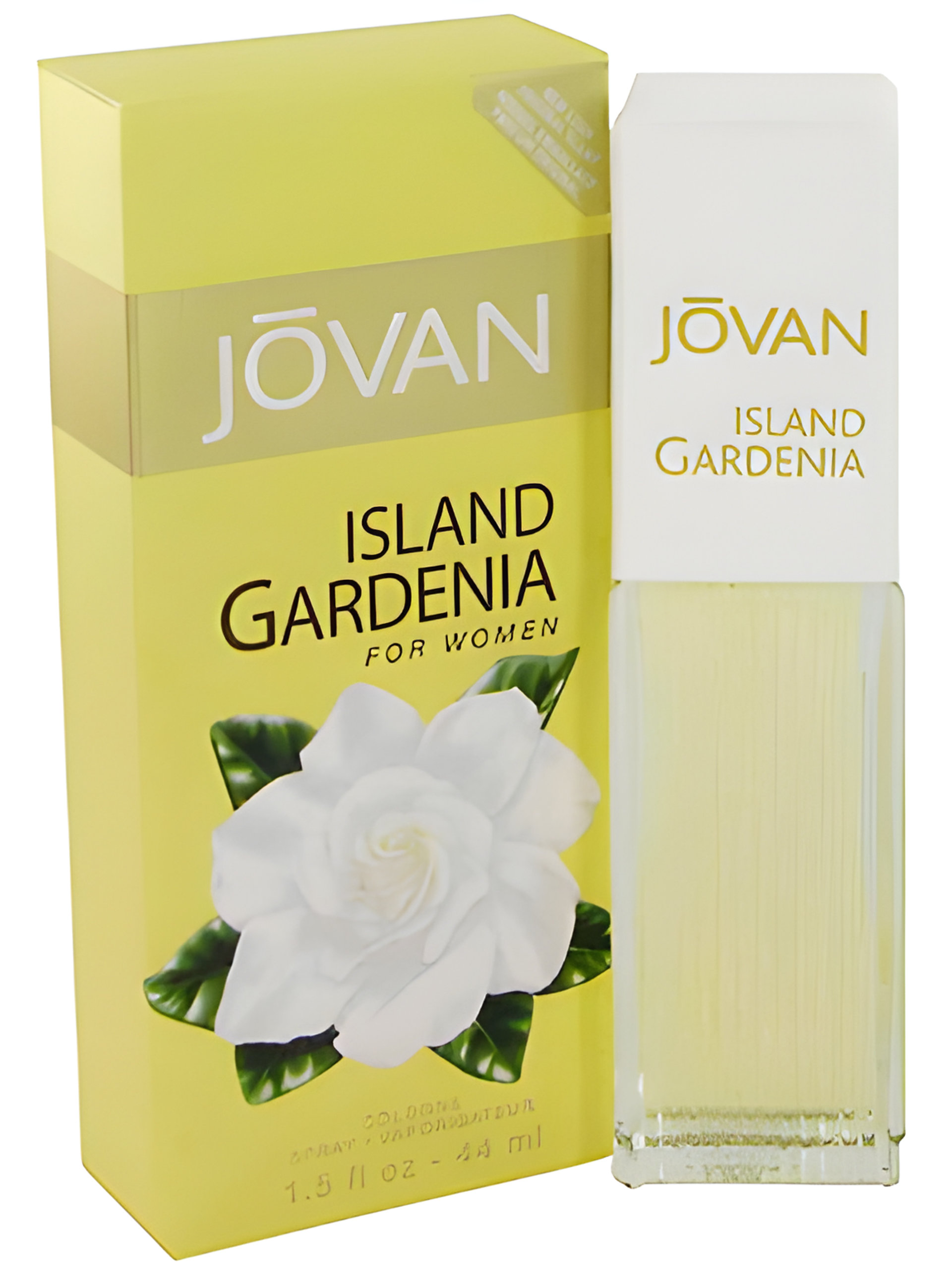 Picture of Island Gardenia fragrance