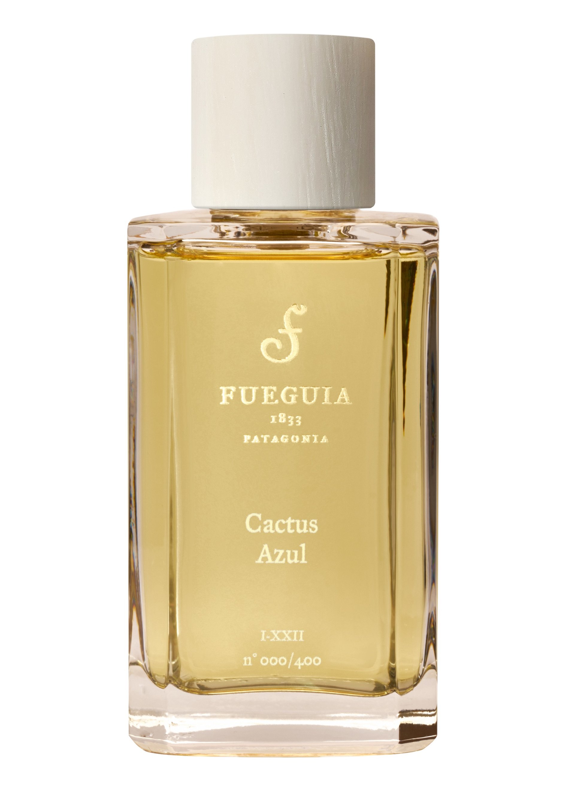 Picture of Cactus Azul (new) fragrance