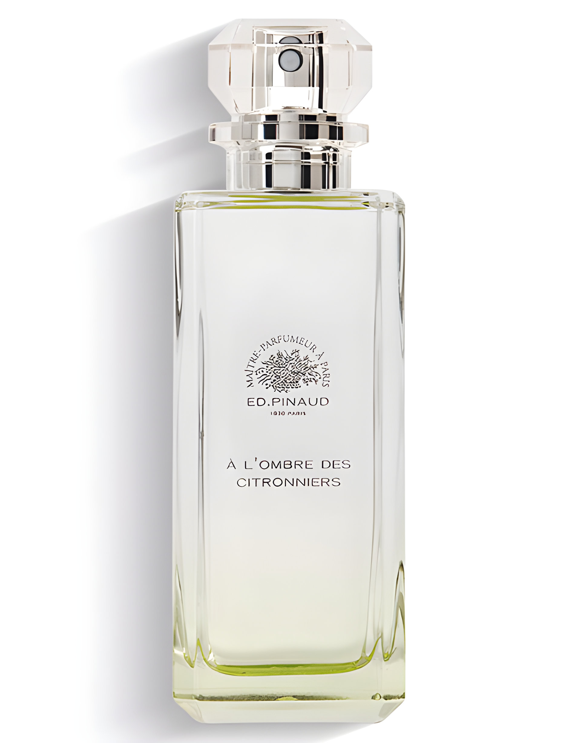 Picture of A l'Ombre Des Citronniers fragrance