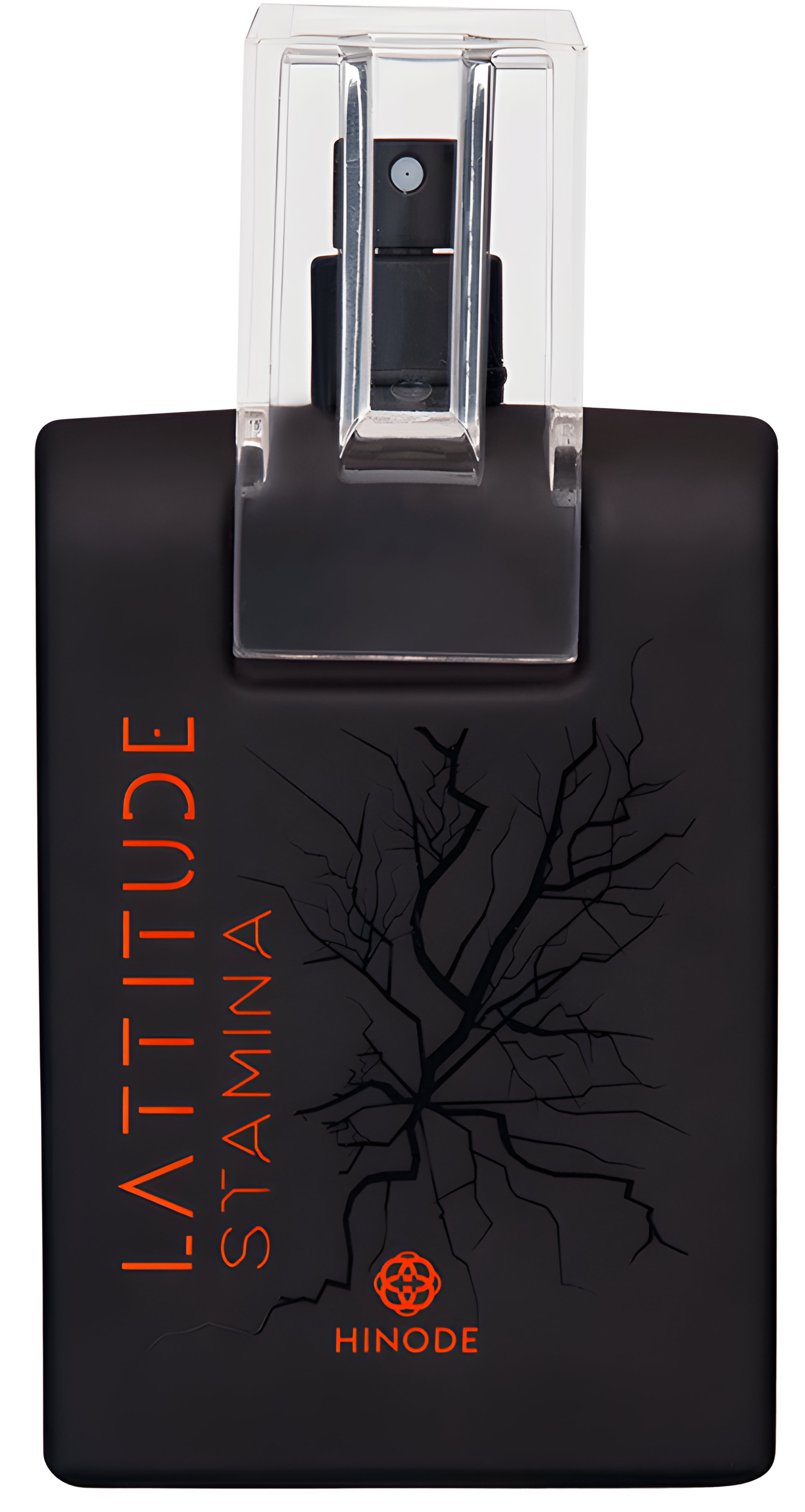 Picture of Lattitude Stamina fragrance
