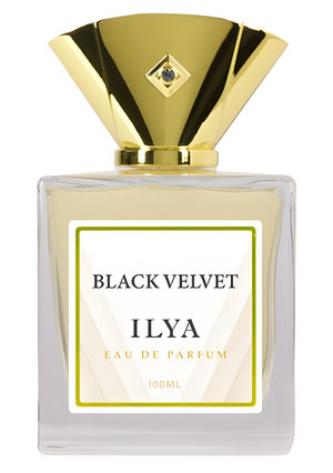 Black Velvet by Ilya Parfums perfume bottle