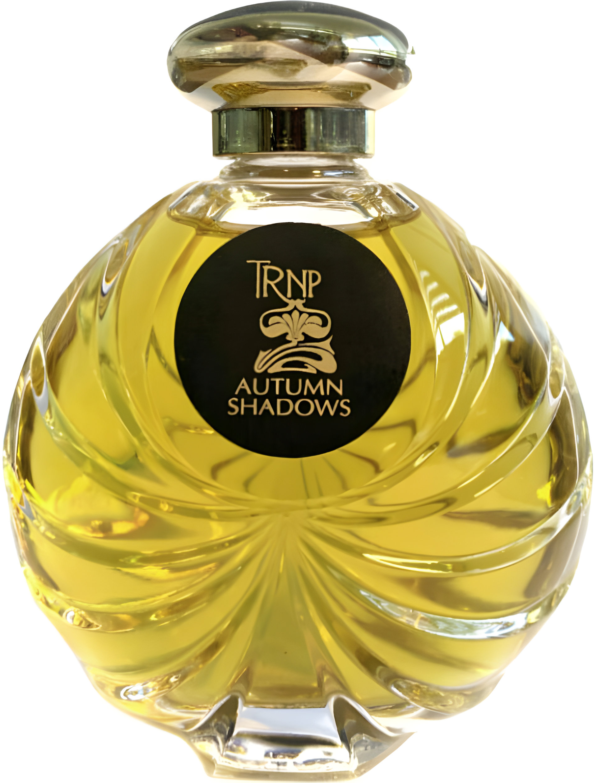 Picture of Autumn Shadows fragrance