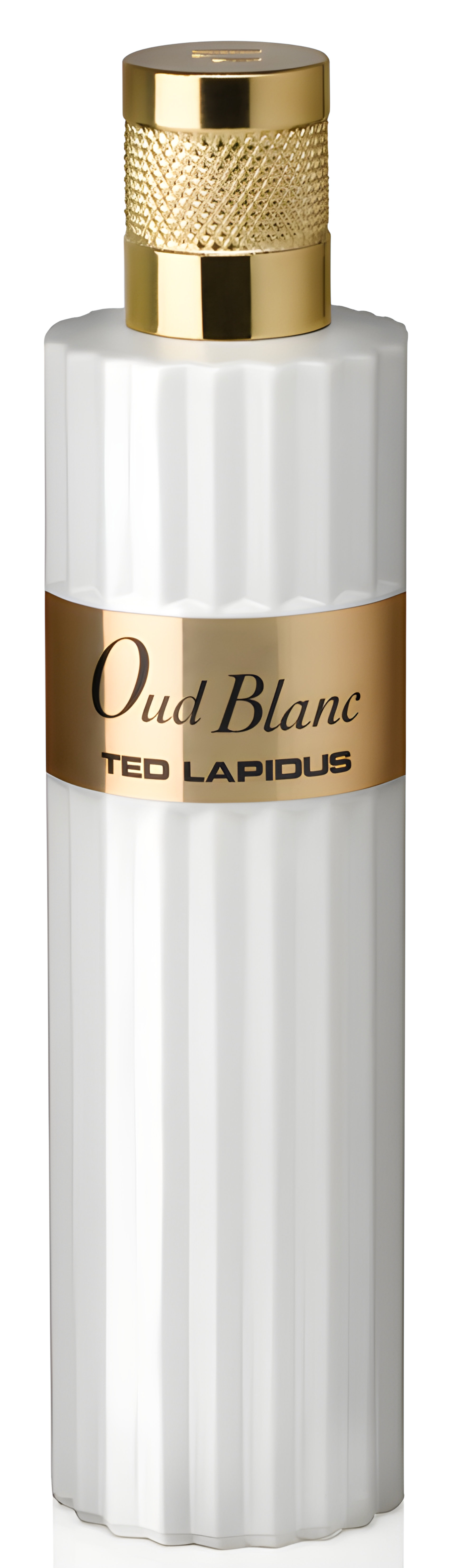 Oud Blanc by Ted Lapidus