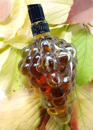Vinogas (Виноград) by Dzintars perfume bottle