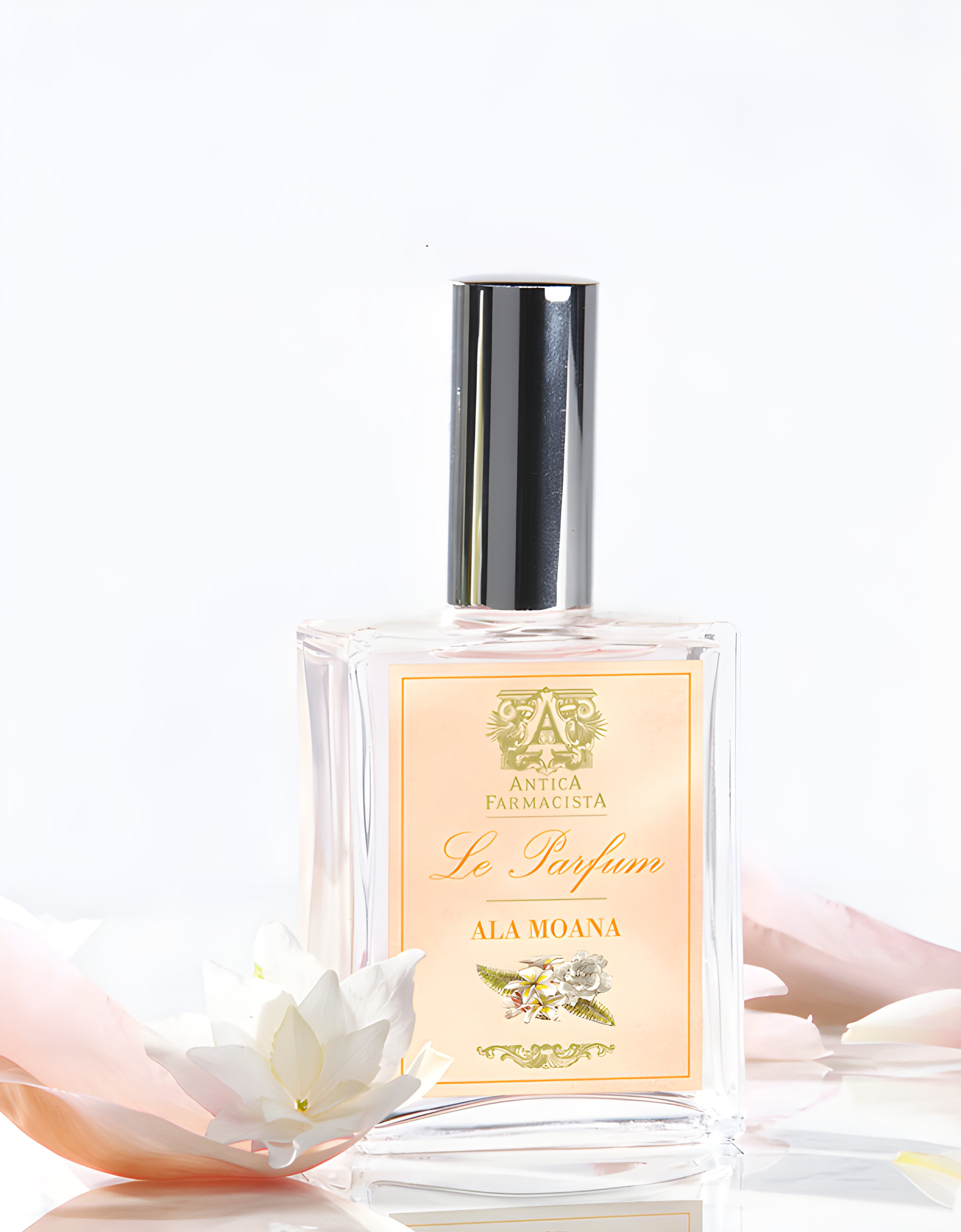 Picture of Ala Moana fragrance