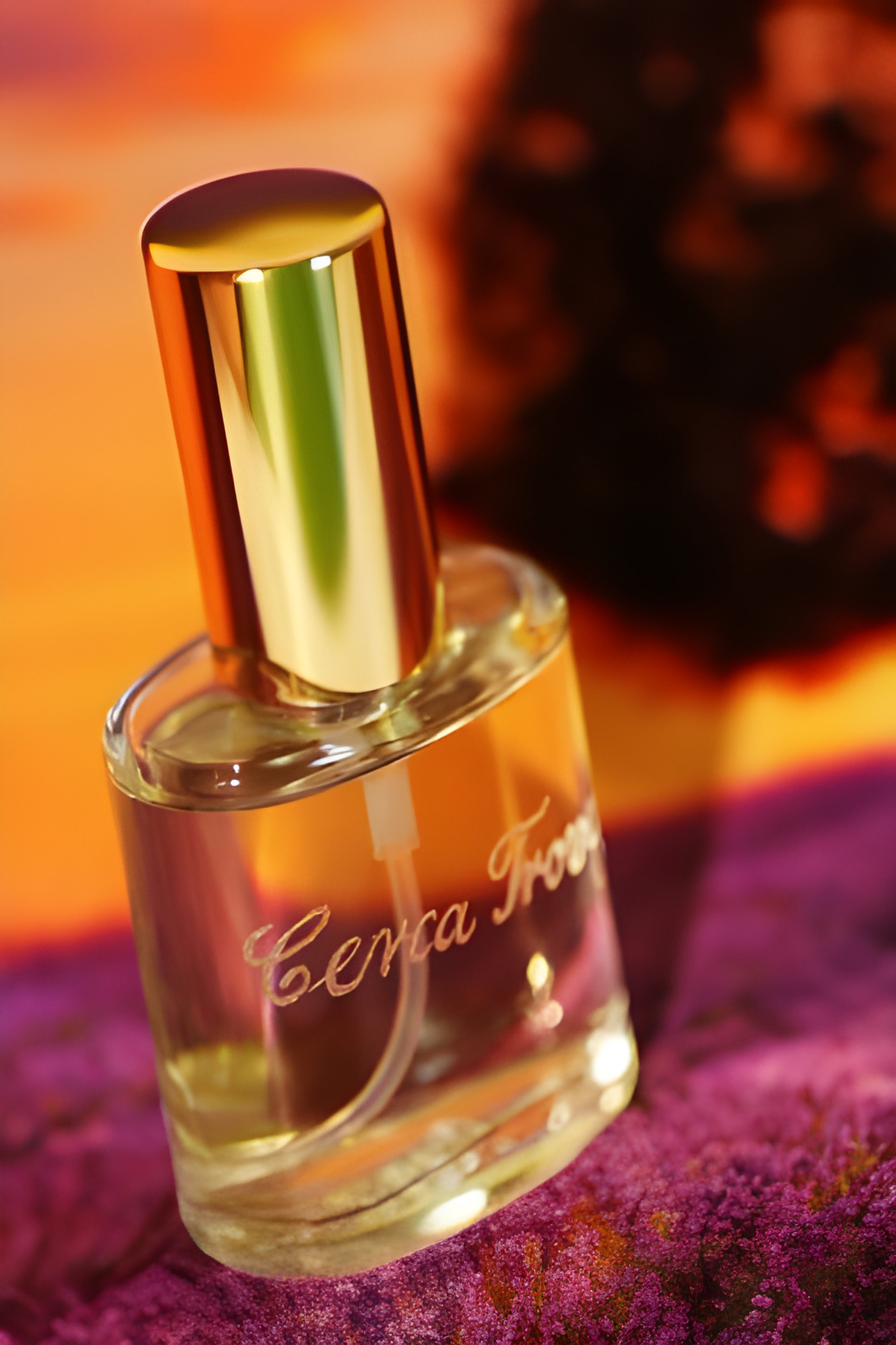 Picture of Cerca Trova fragrance