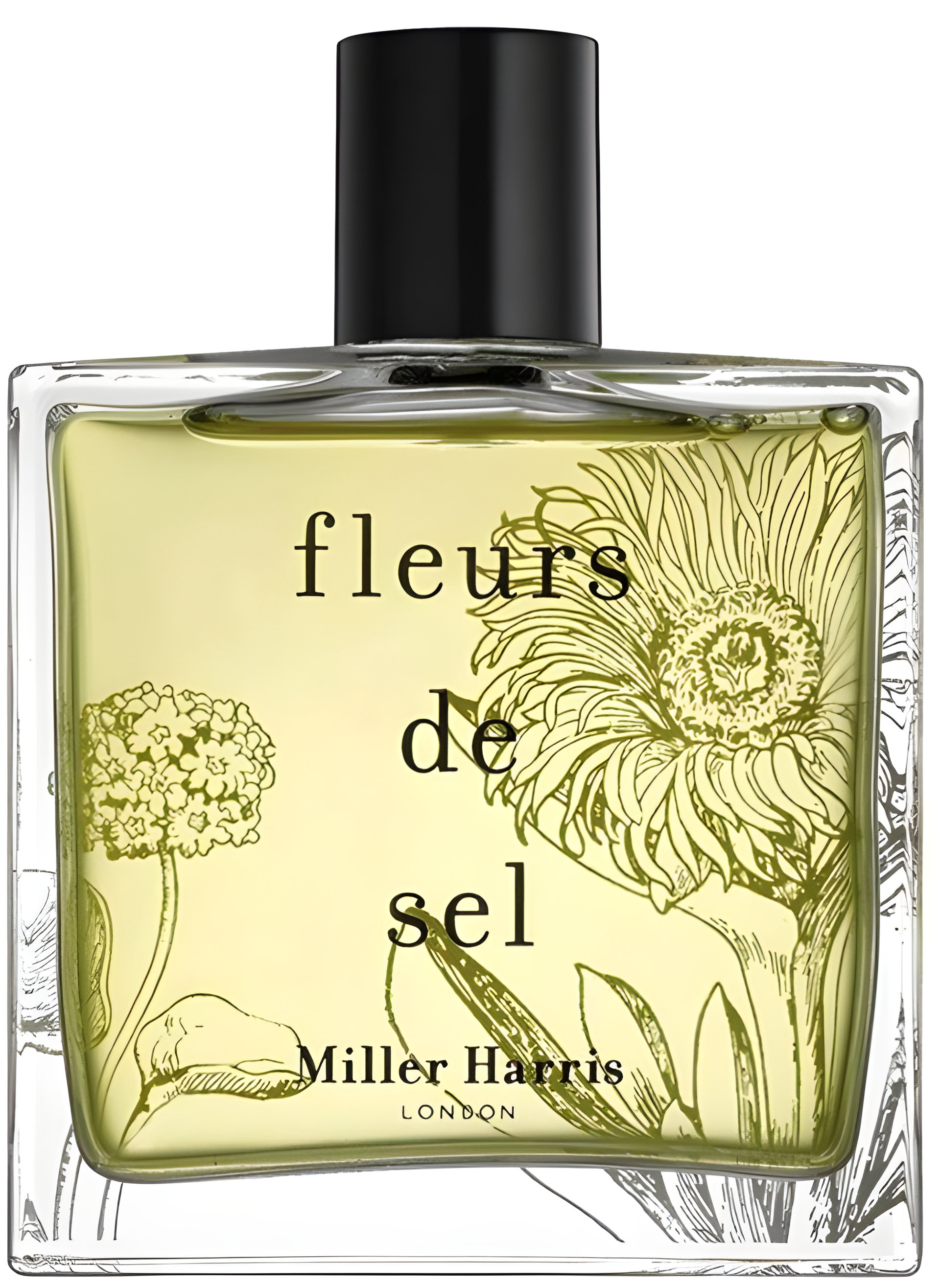Picture of Fleurs de Sel fragrance