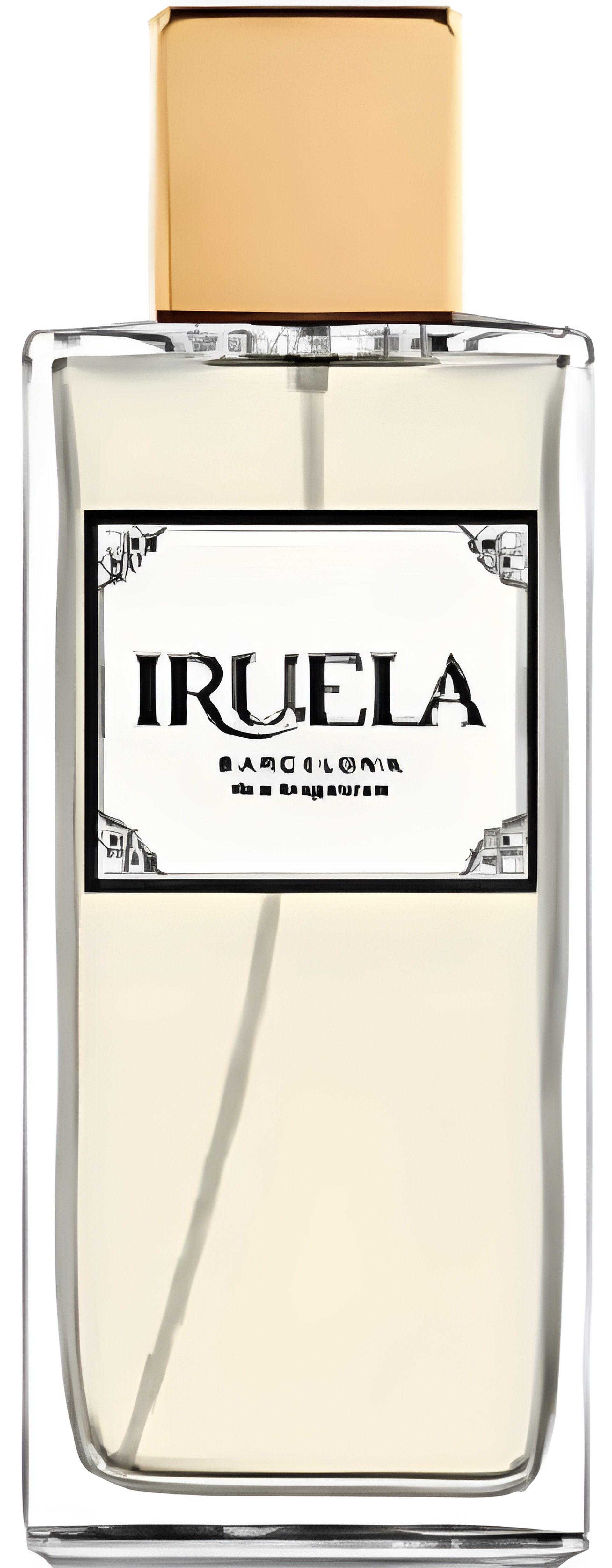 Picture of Spicy & Wild Spirit fragrance