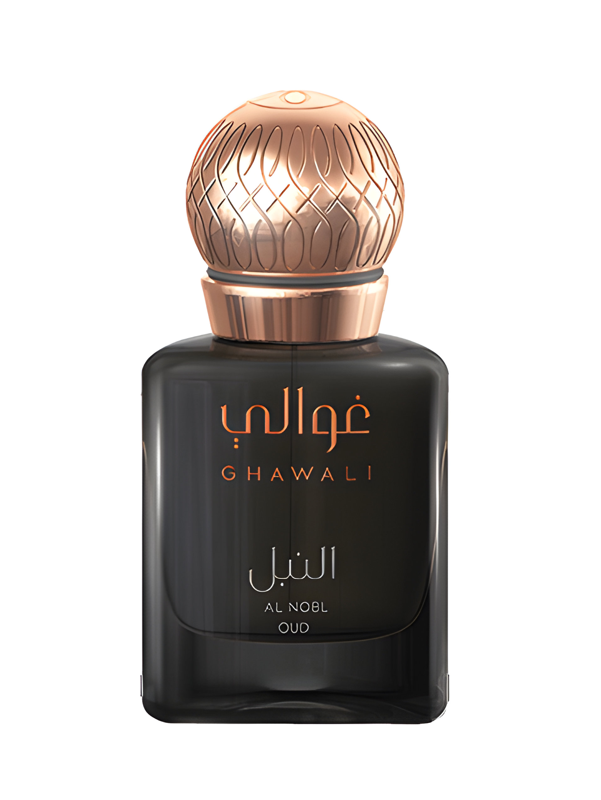 Picture of Al Nobl Oud fragrance