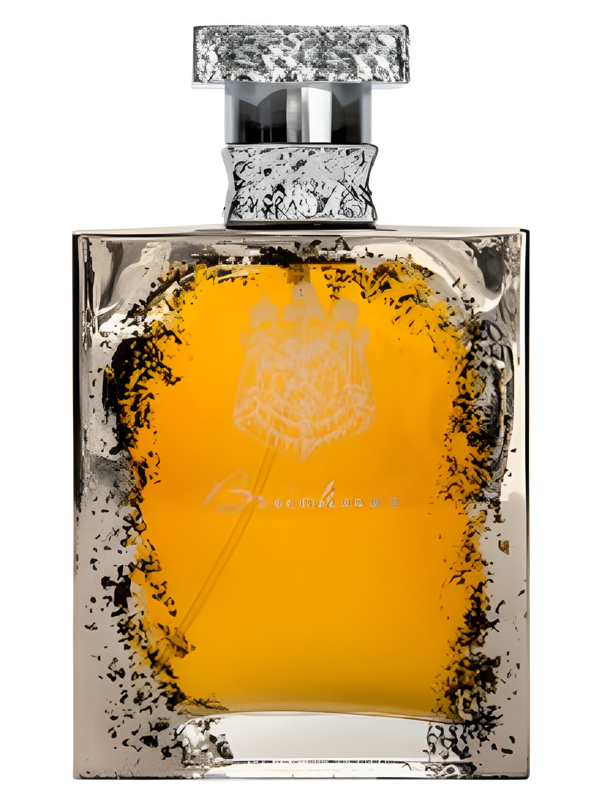 Picture of Muscade Argent fragrance