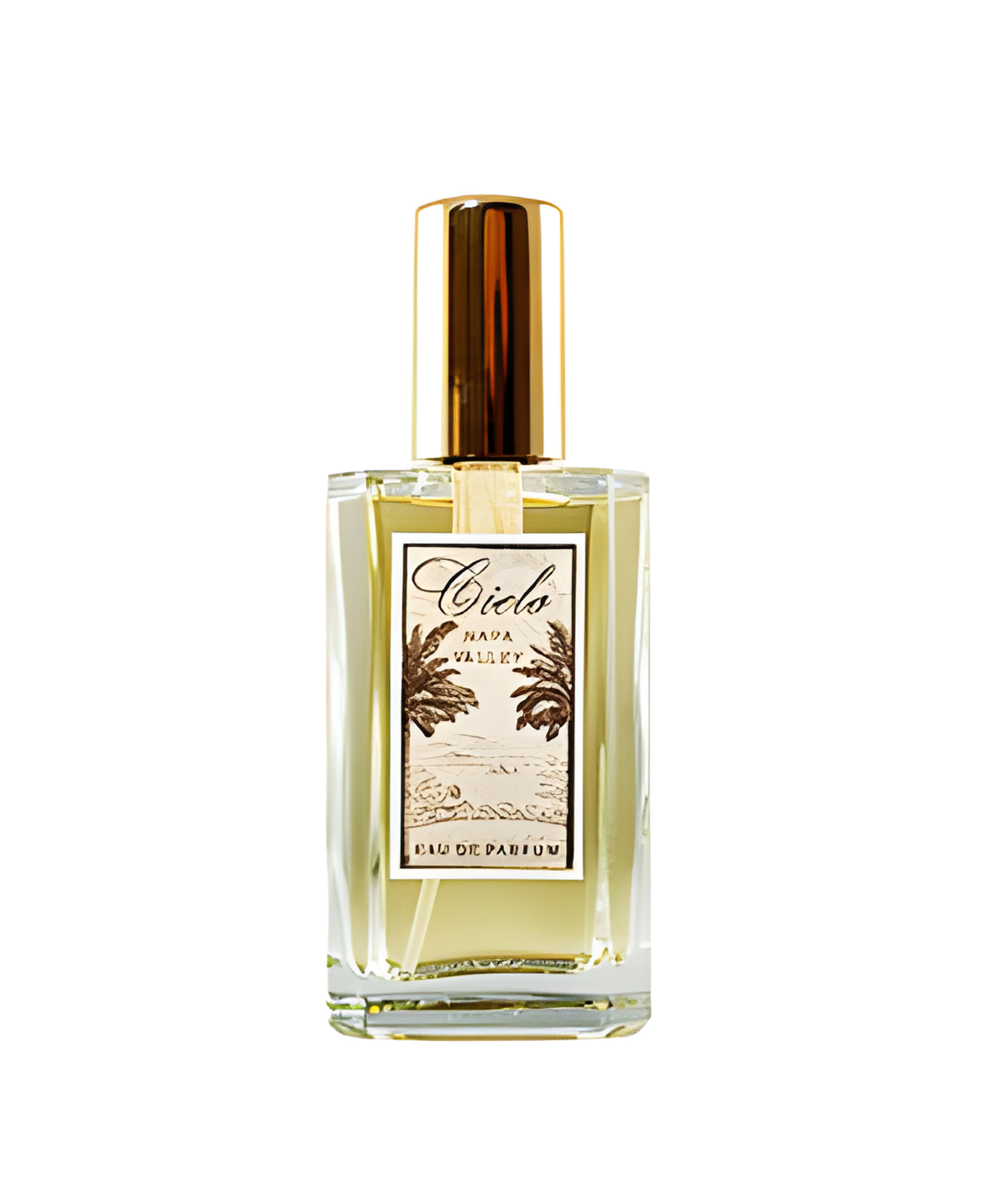 Picture of Cielo fragrance
