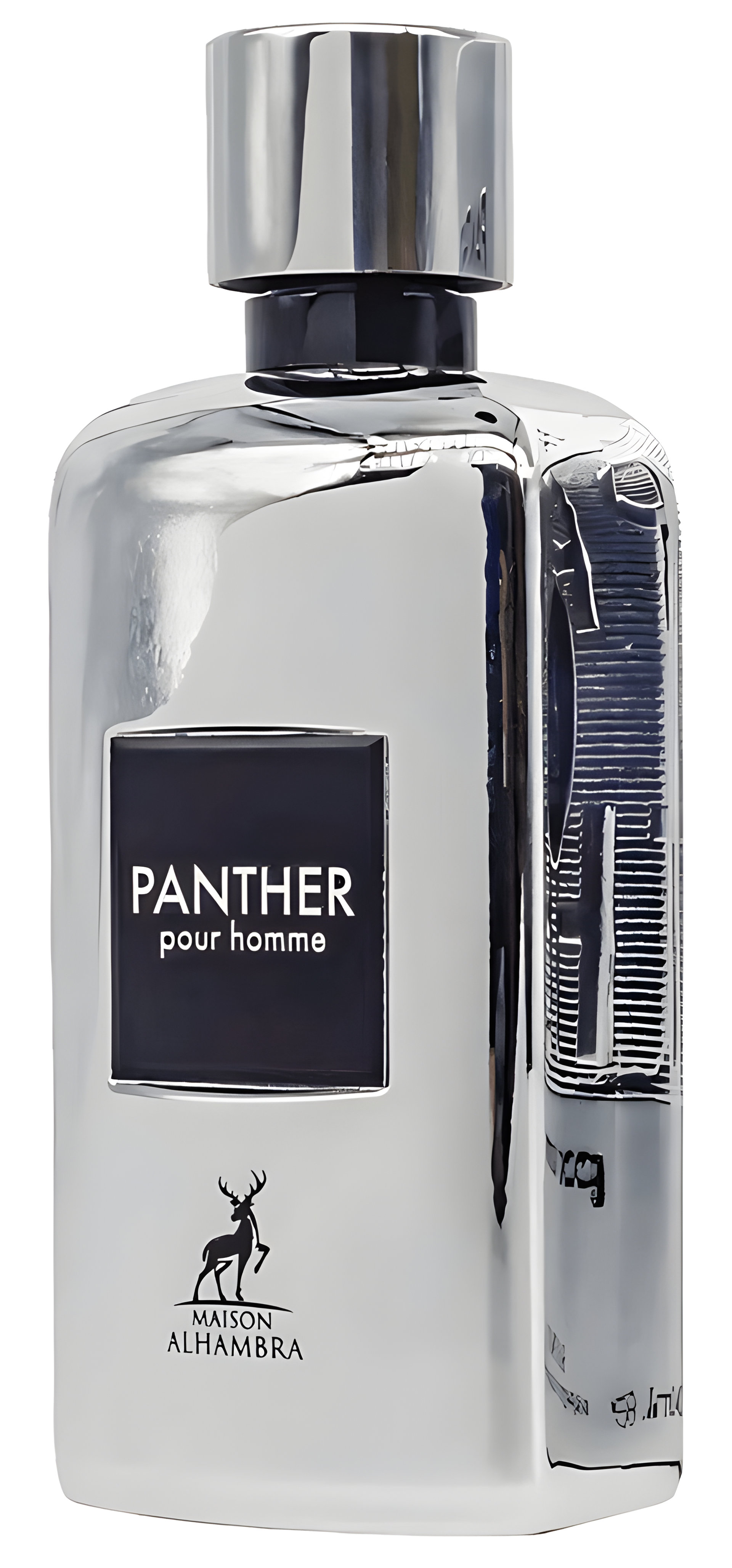 Picture of Panther Pour Homme fragrance