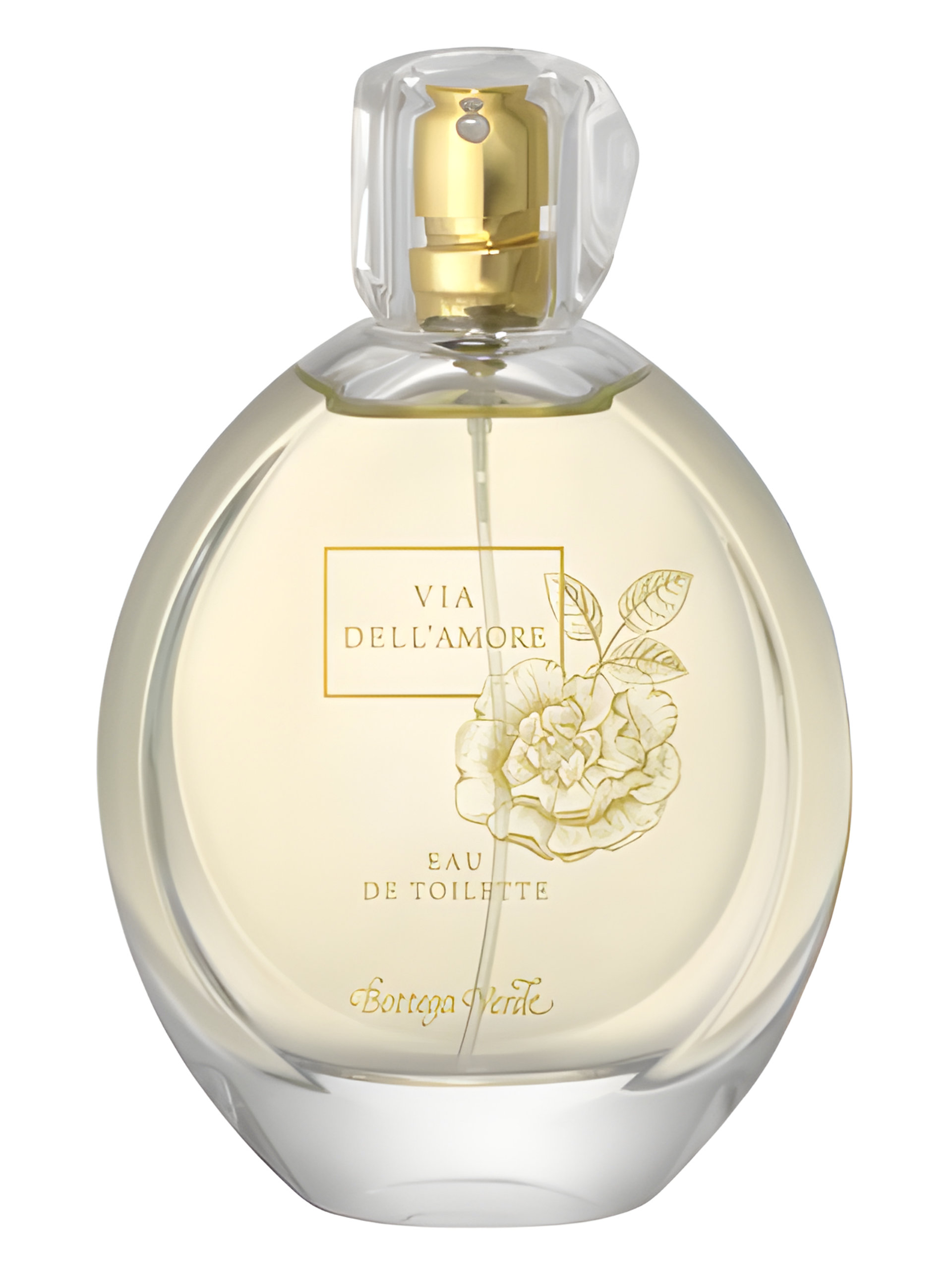 Picture of Via dell'Amore fragrance