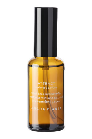 Attract by Lingua Planta perfume bottle