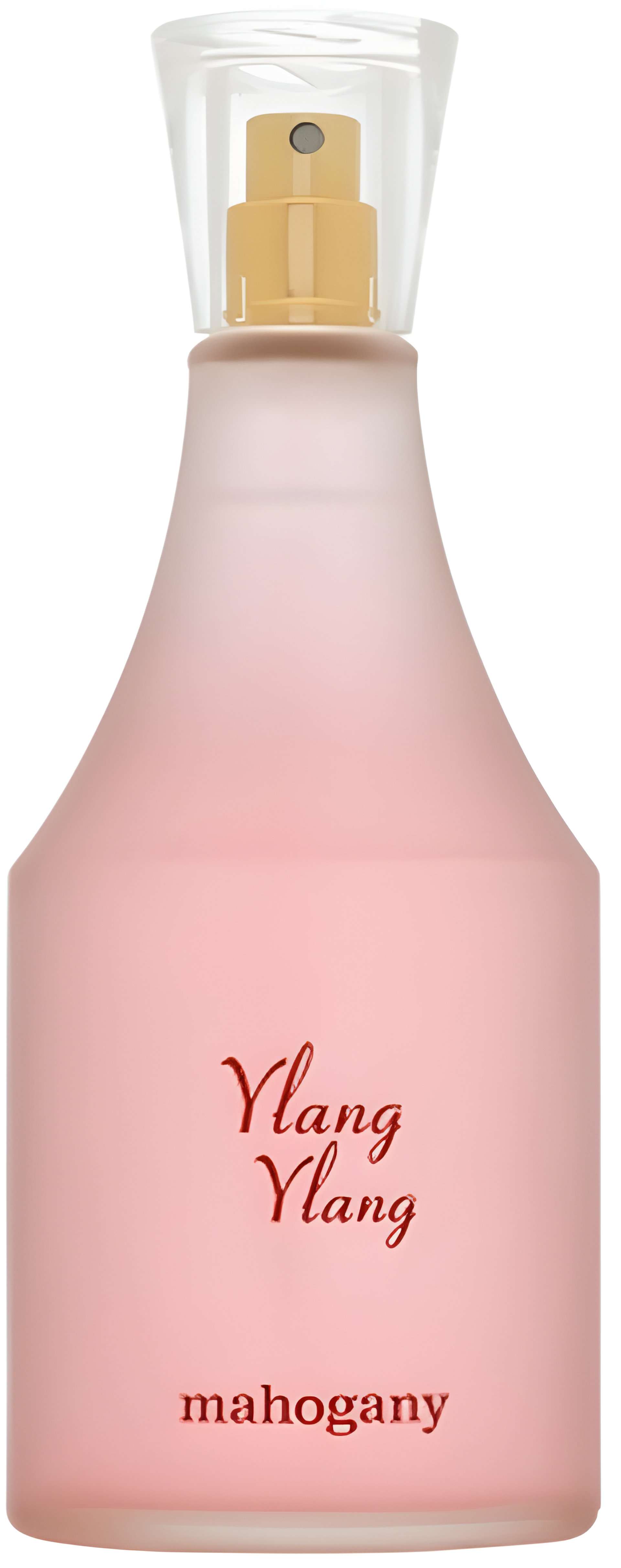 Picture of Ylang Ylang fragrance