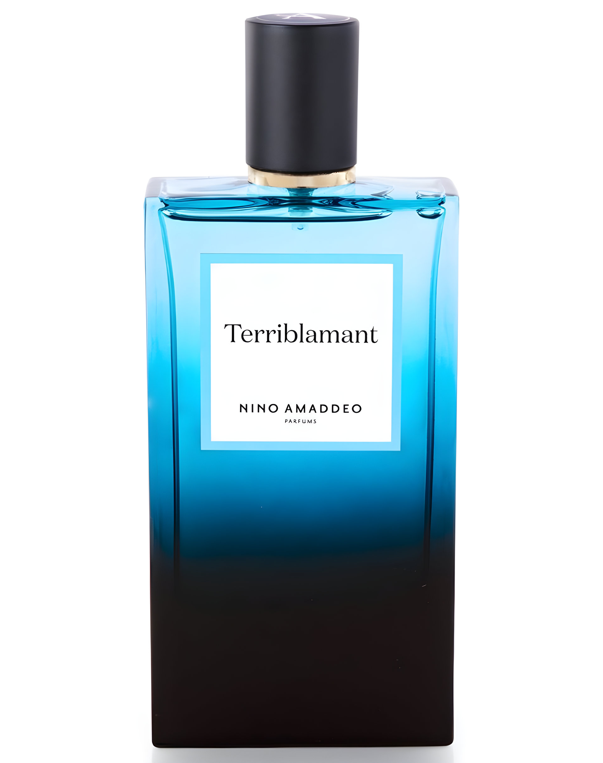 Picture of Terriblamant fragrance