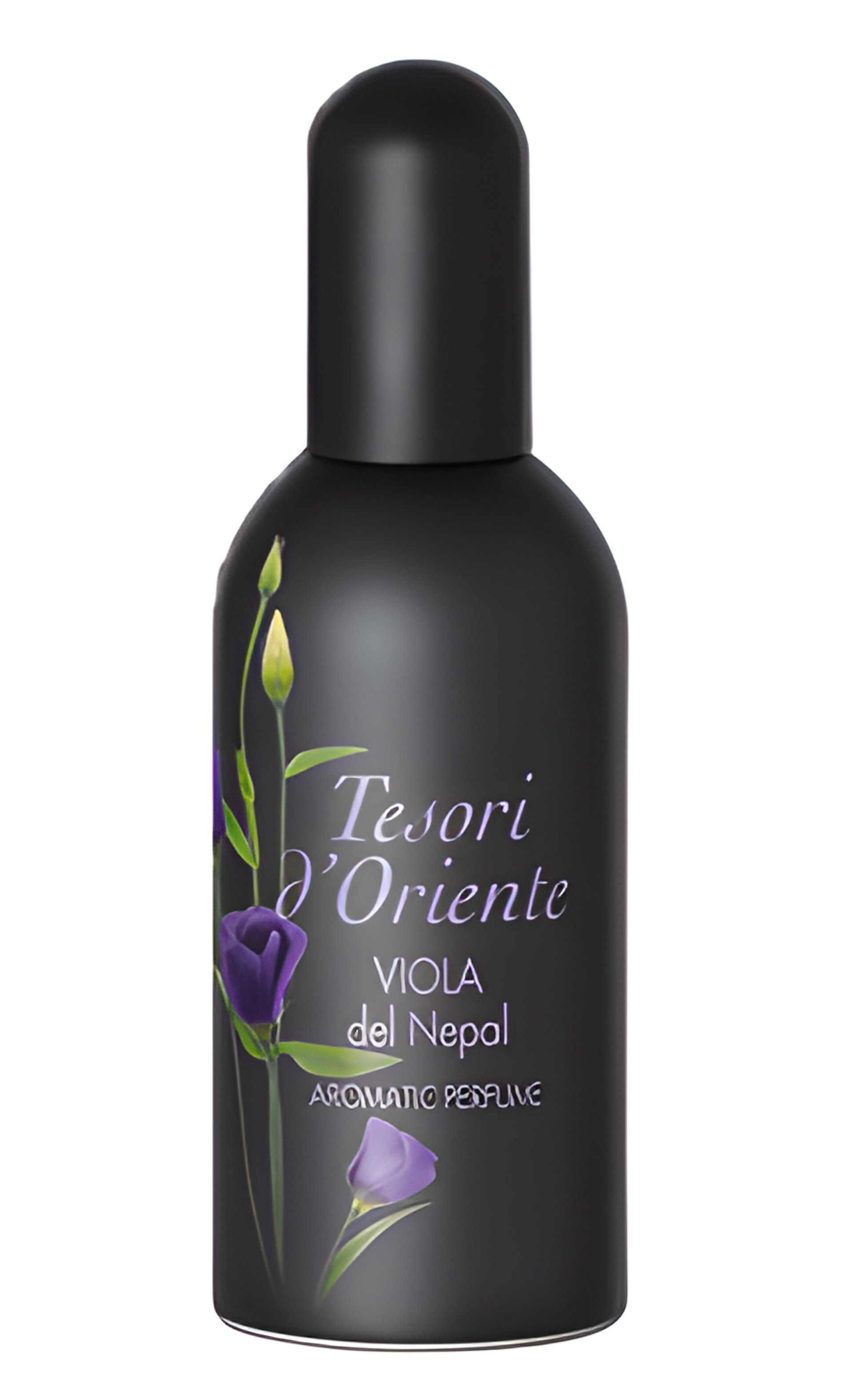 Picture of Viola Del Nepal fragrance