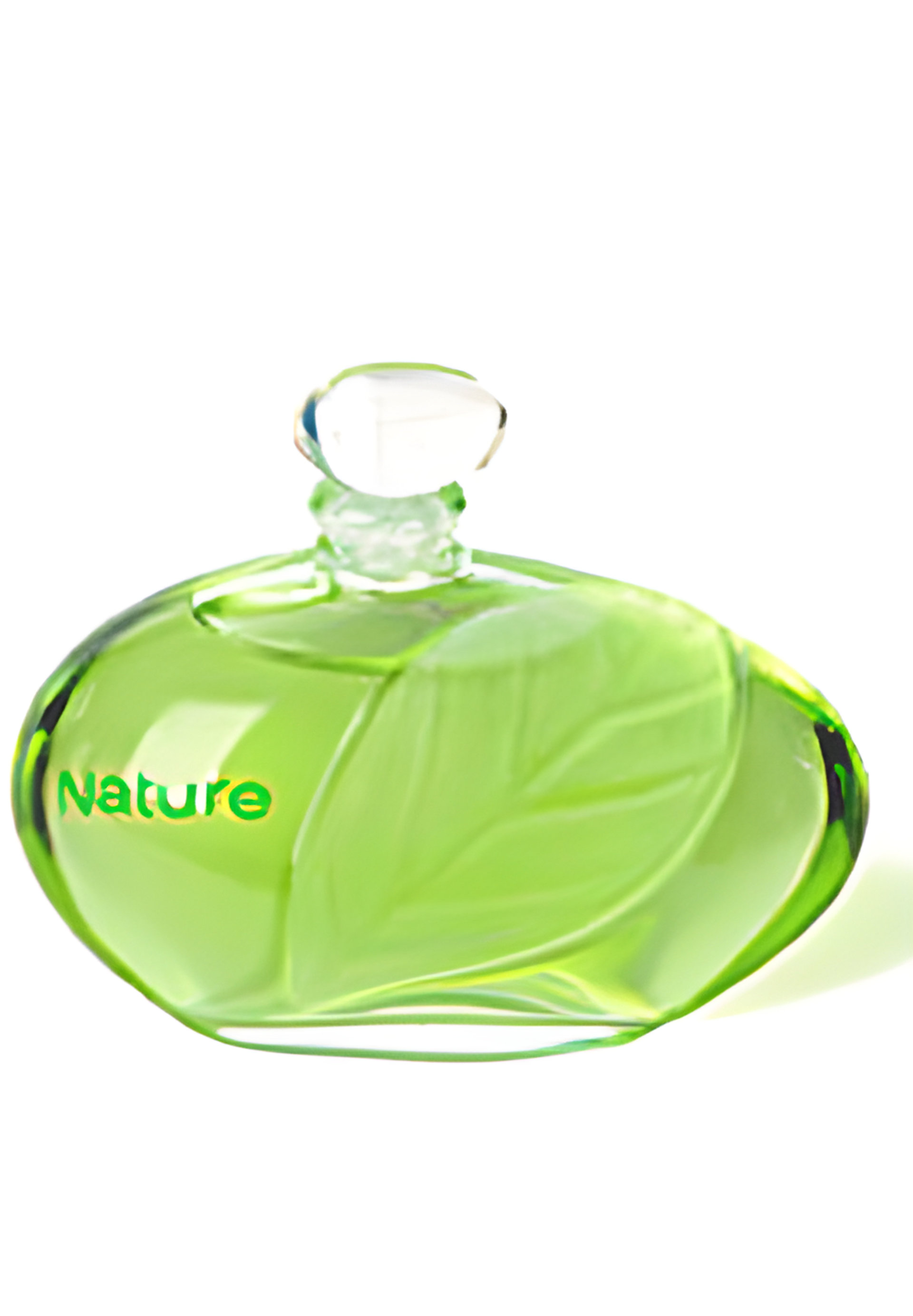Picture of Nature fragrance