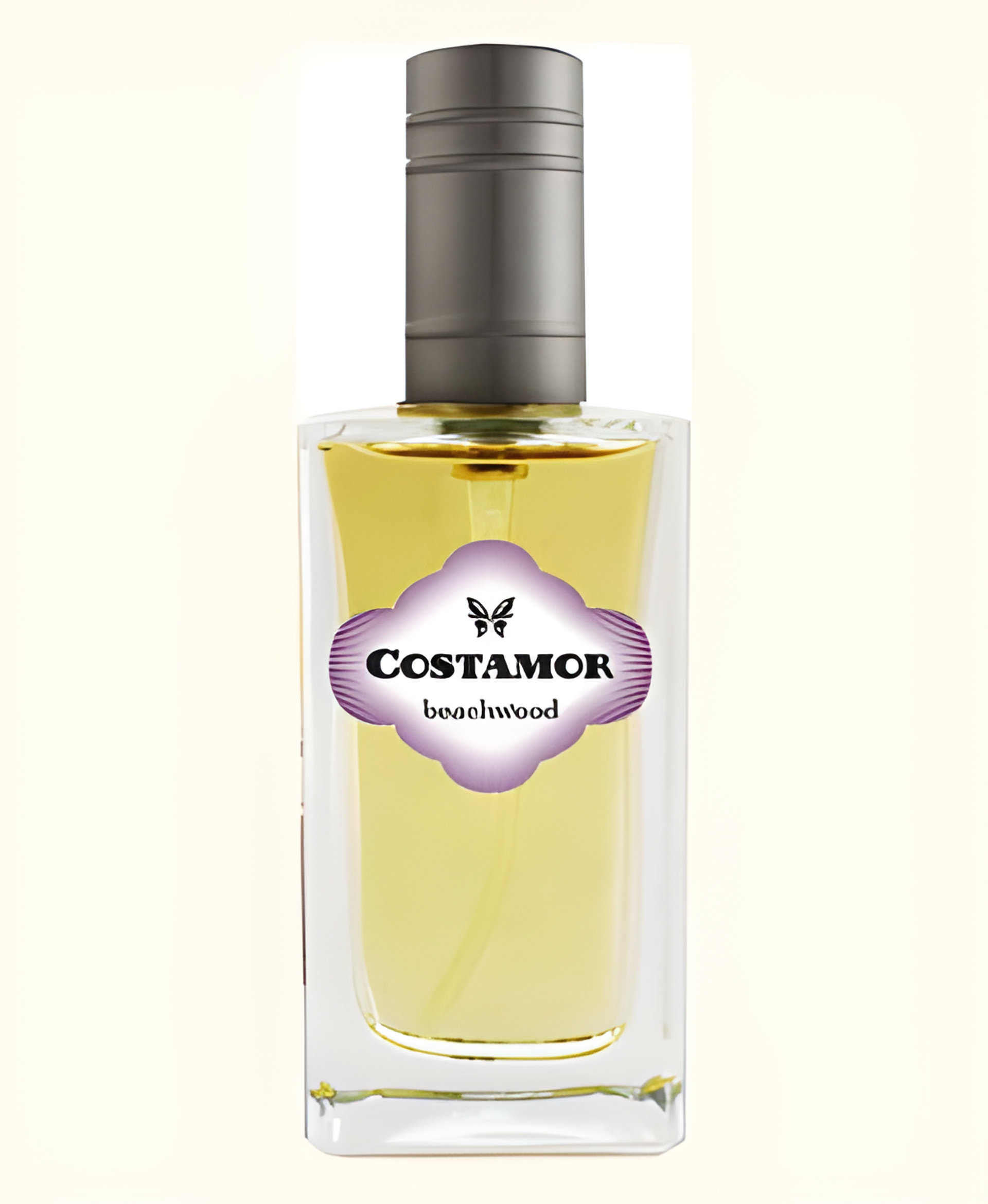 Picture of Beachwood fragrance