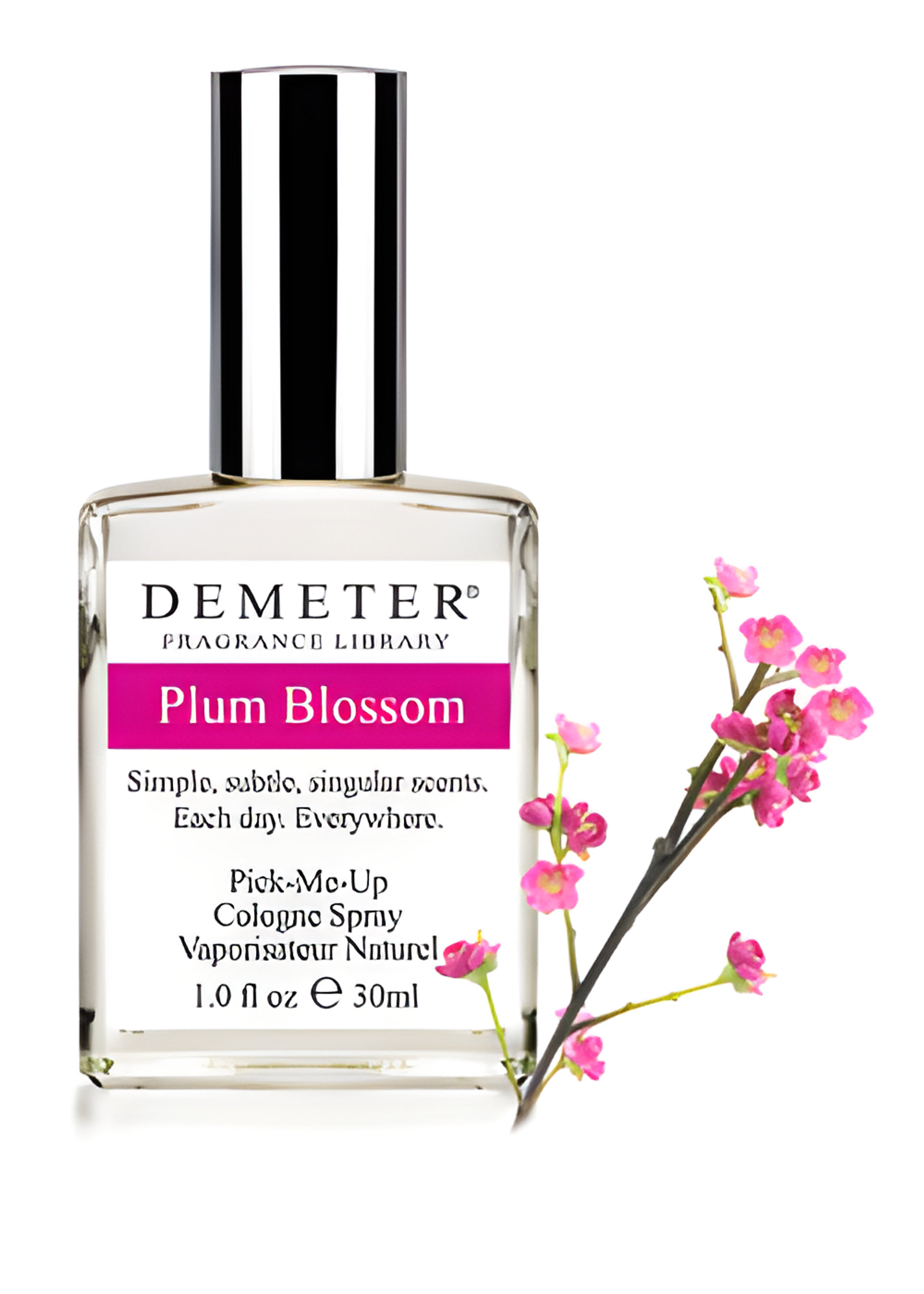 Picture of Plum Blossom fragrance