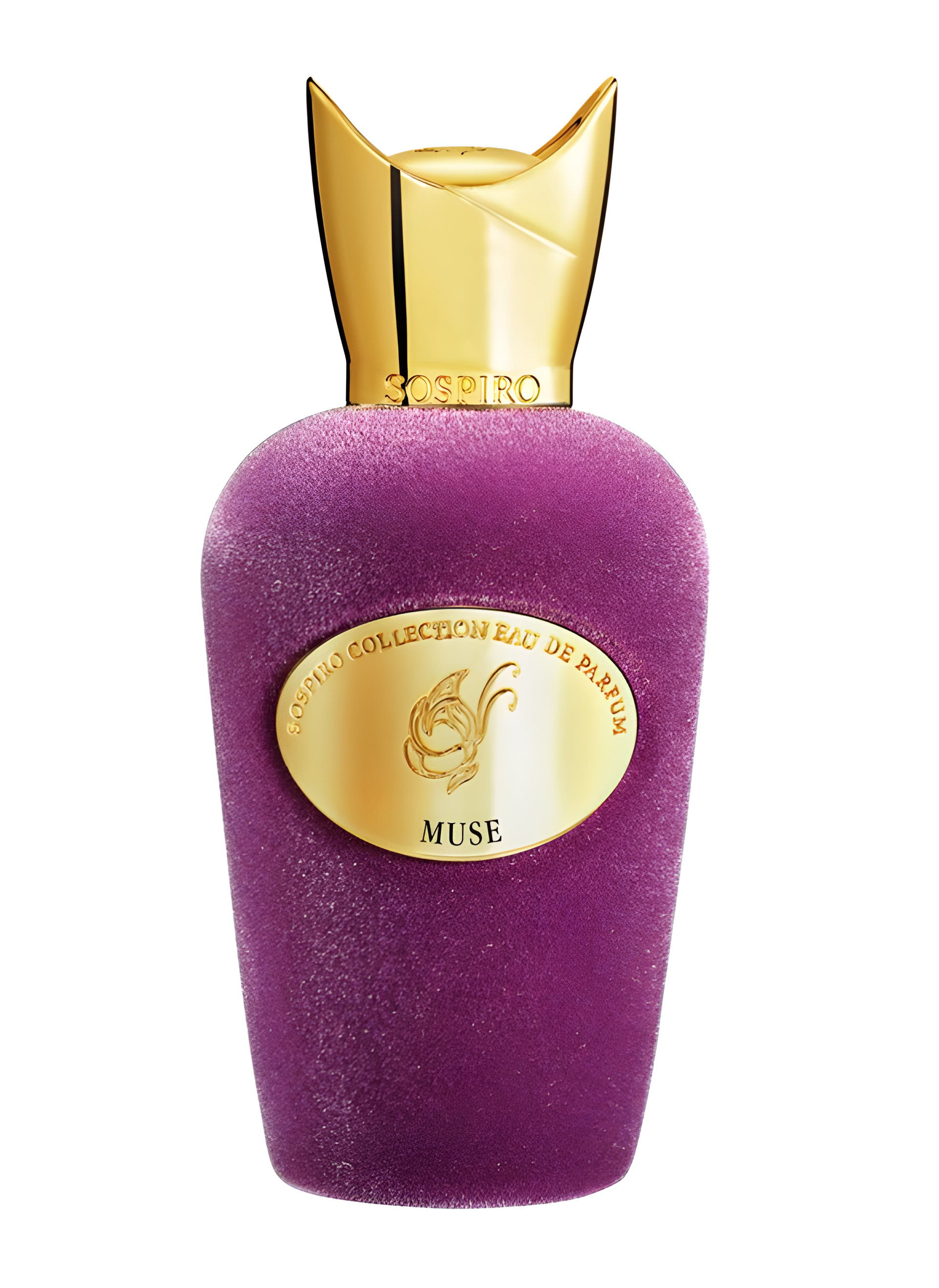 Picture of Muse fragrance