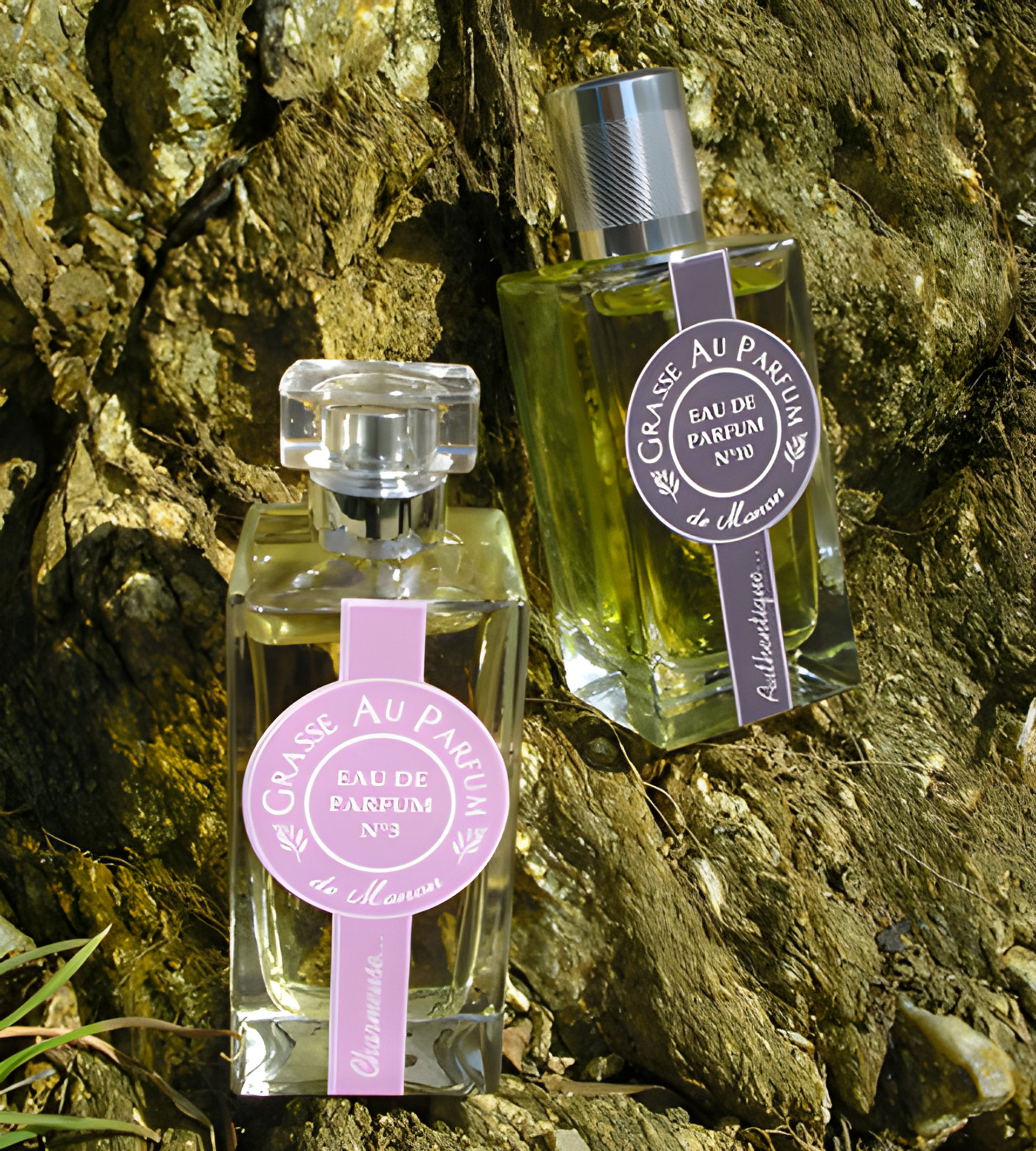 No 6 Tenebreux by Grasse Au Parfum perfume bottle