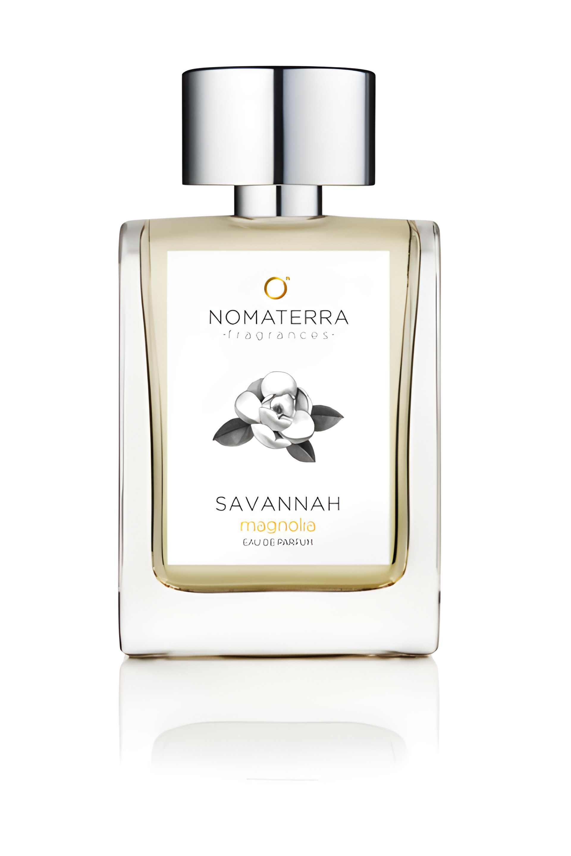 Picture of Savannah Magnolia fragrance