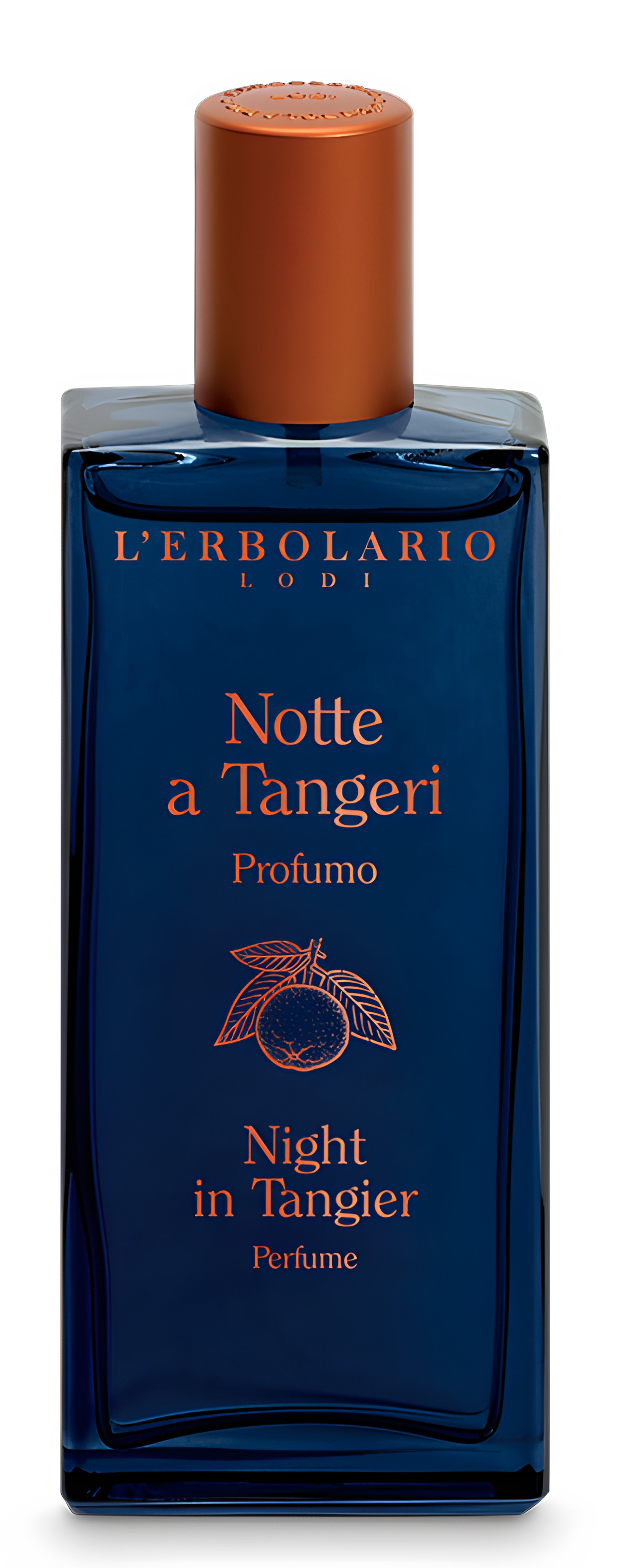 Picture of Notte a Tangeri fragrance