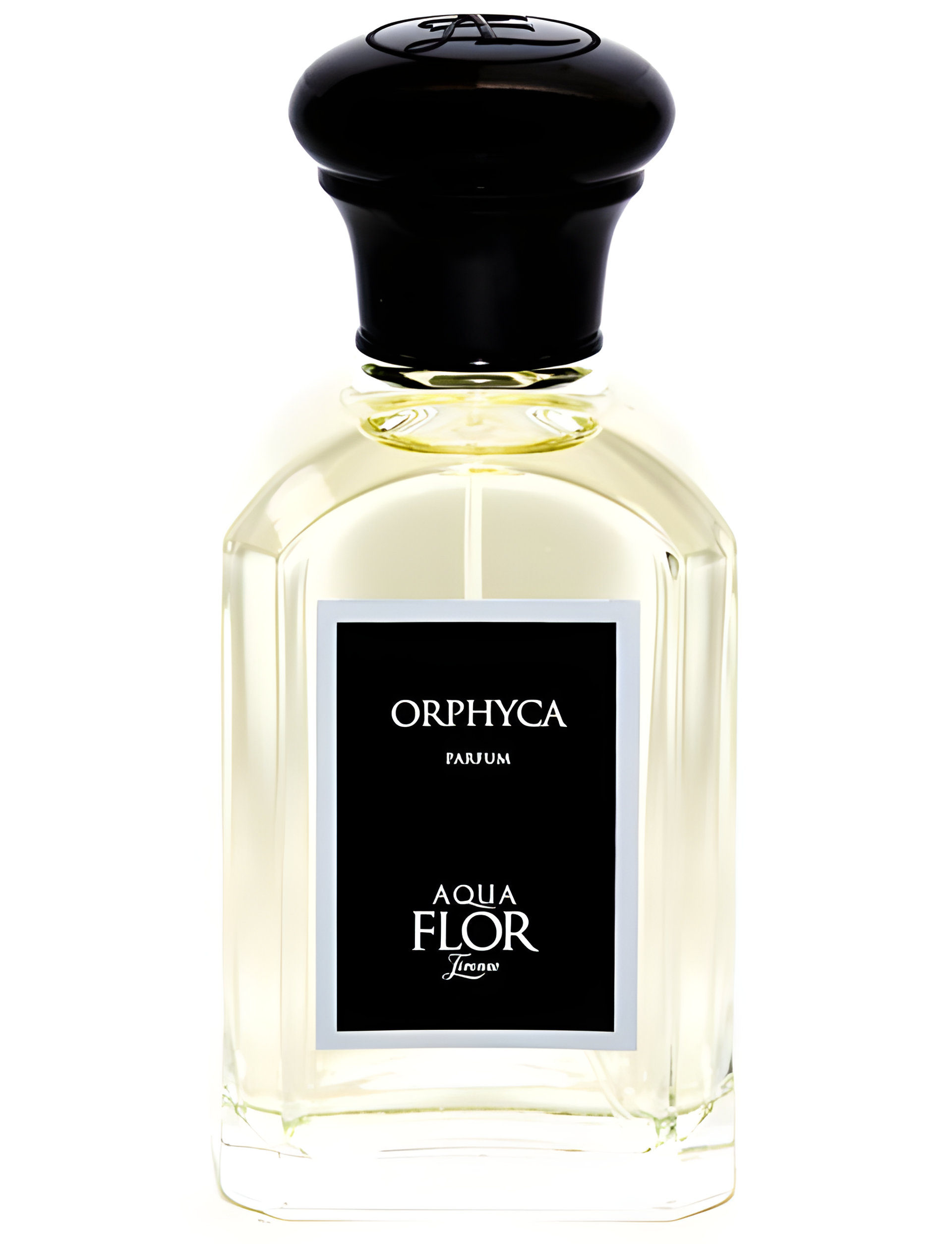 Picture of Orphyca fragrance