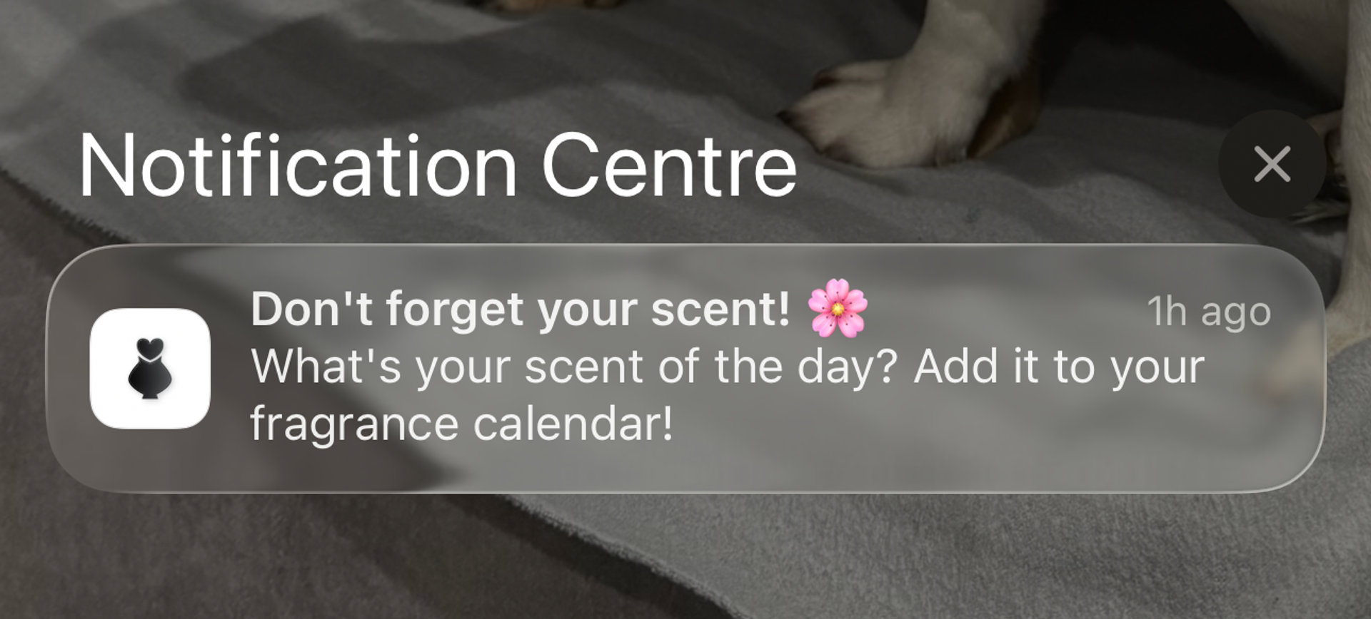 Gallery, image 1 of 1