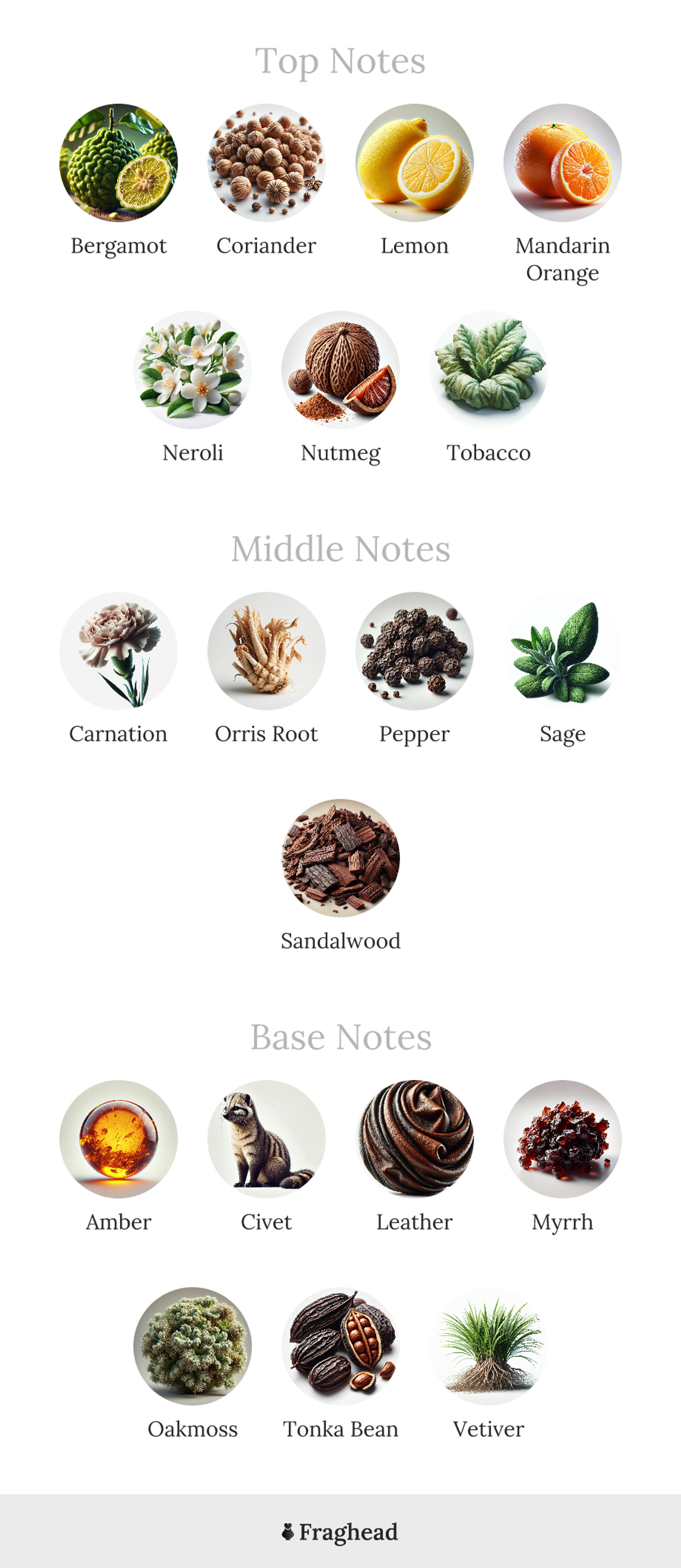 vetiver-guerlain-note-breakdown