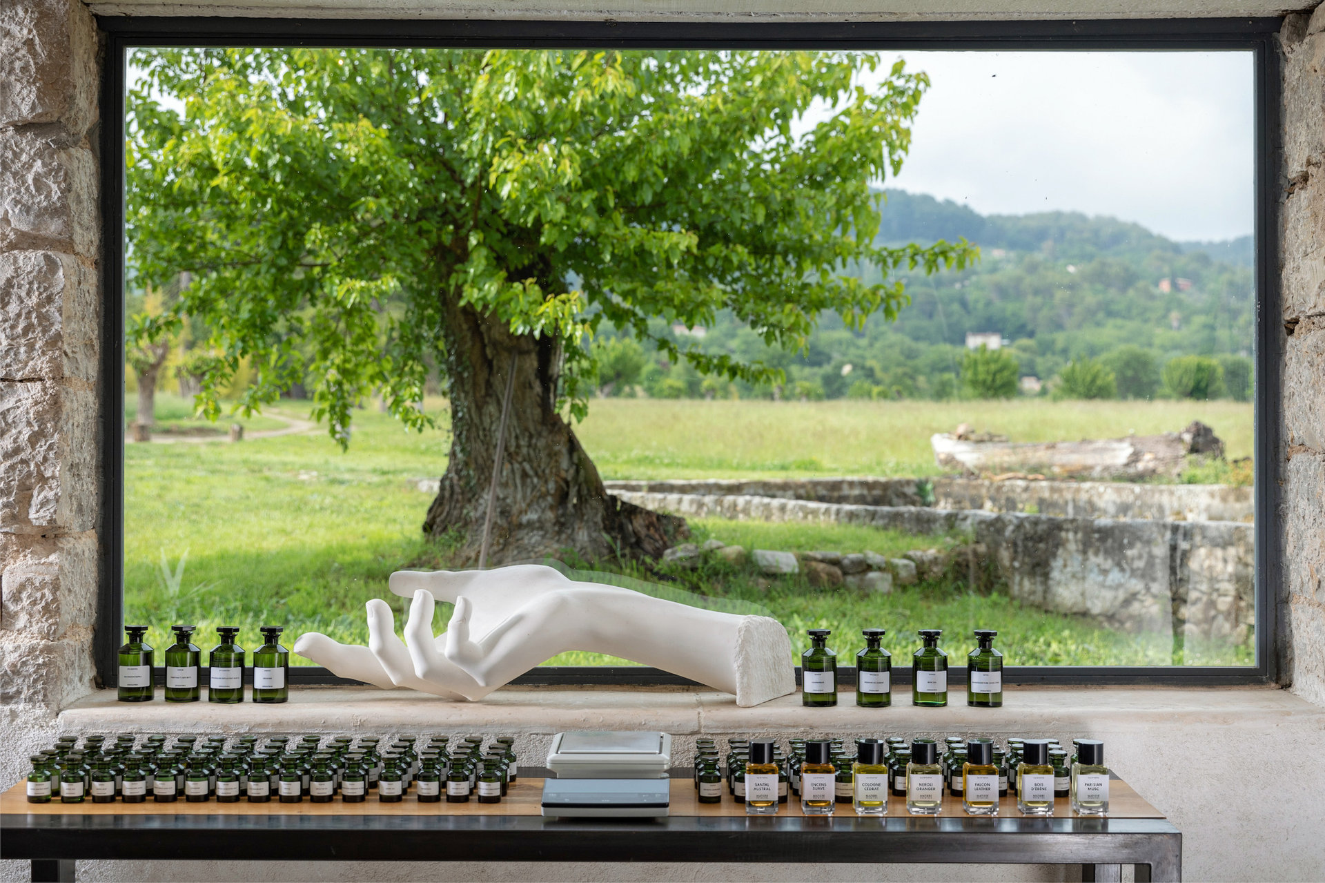 field-view-from-the-window