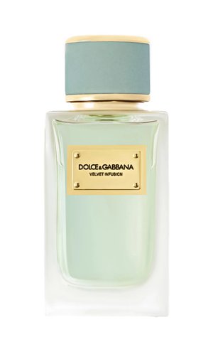 Velvet Infusion by Dolce&Gabbana perfume bottle