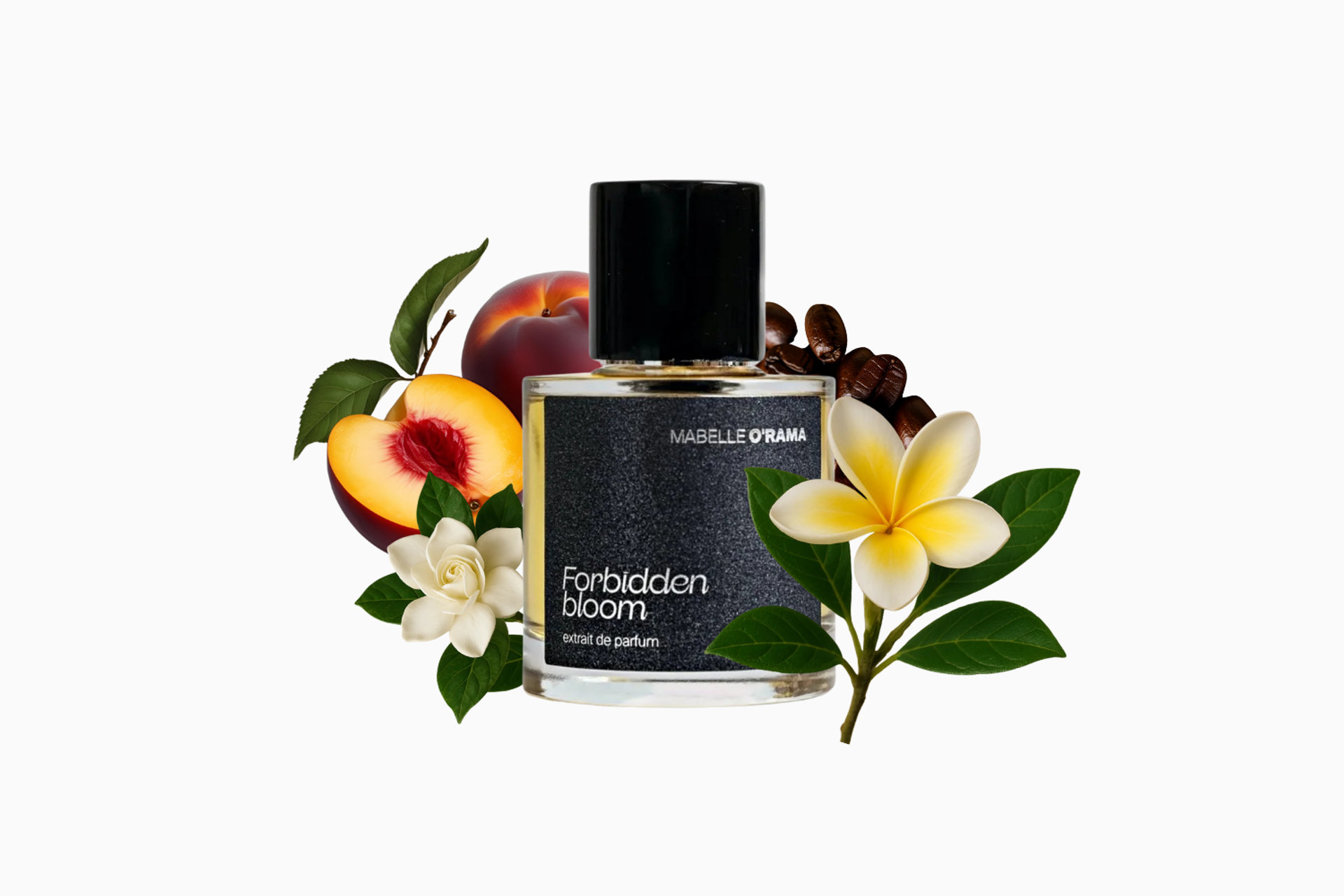 禁断の花のレビュー