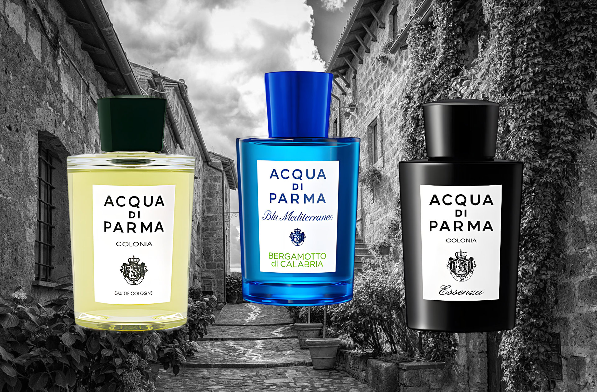 アクア・ディ・パルマ - イタリアのエッセンス