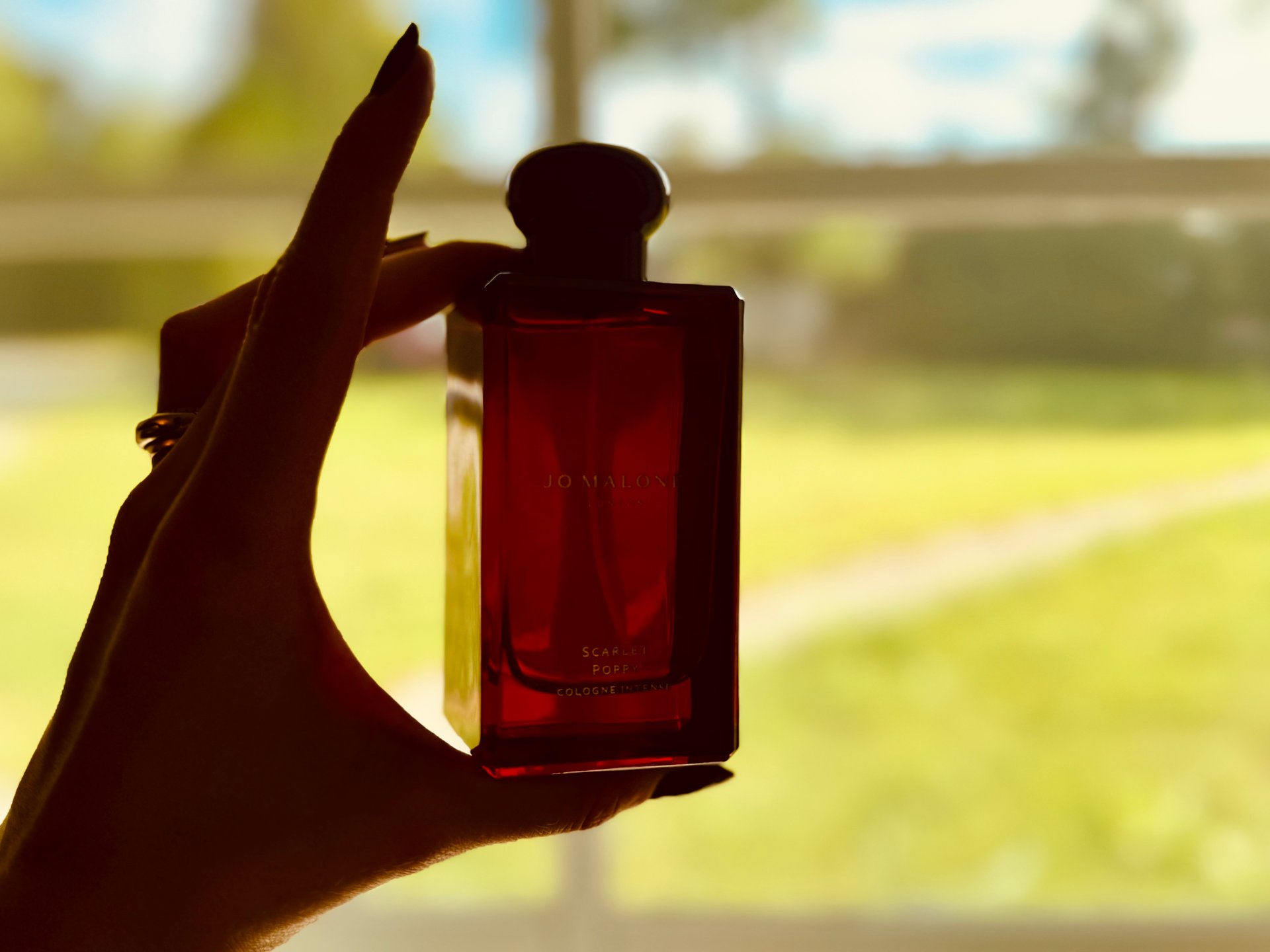 عطر لخريف 2024.