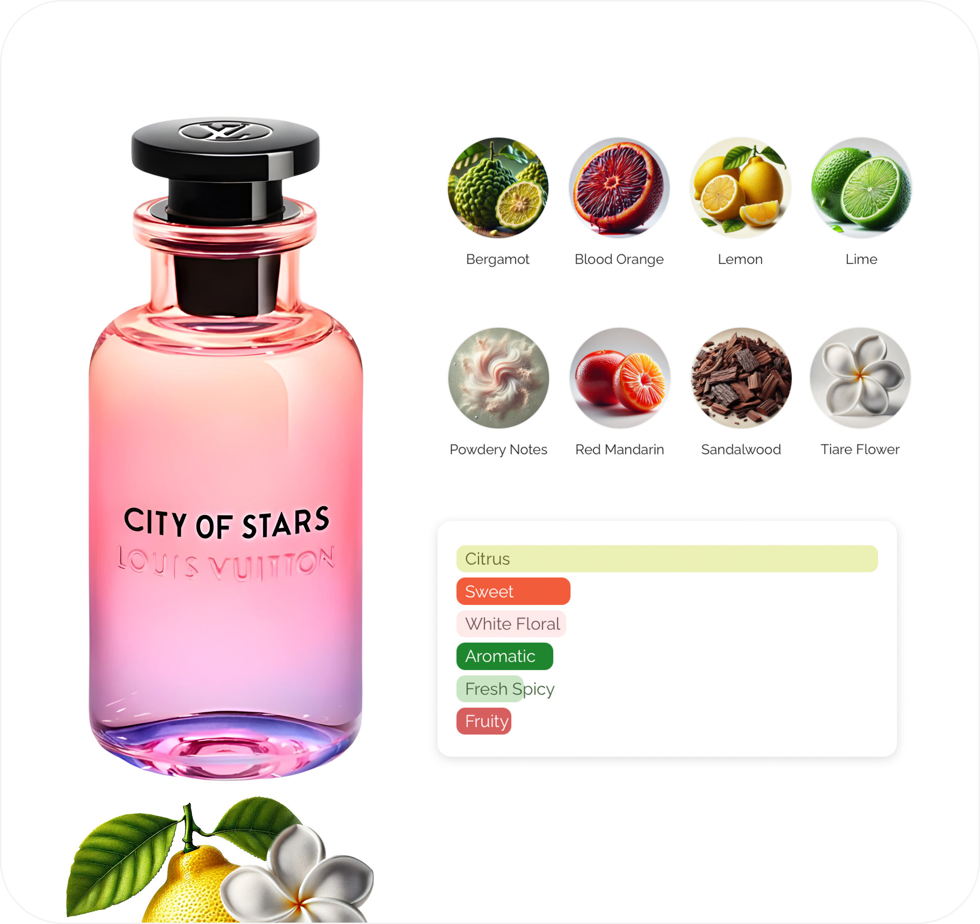 city-of-stars-louis-vuitton