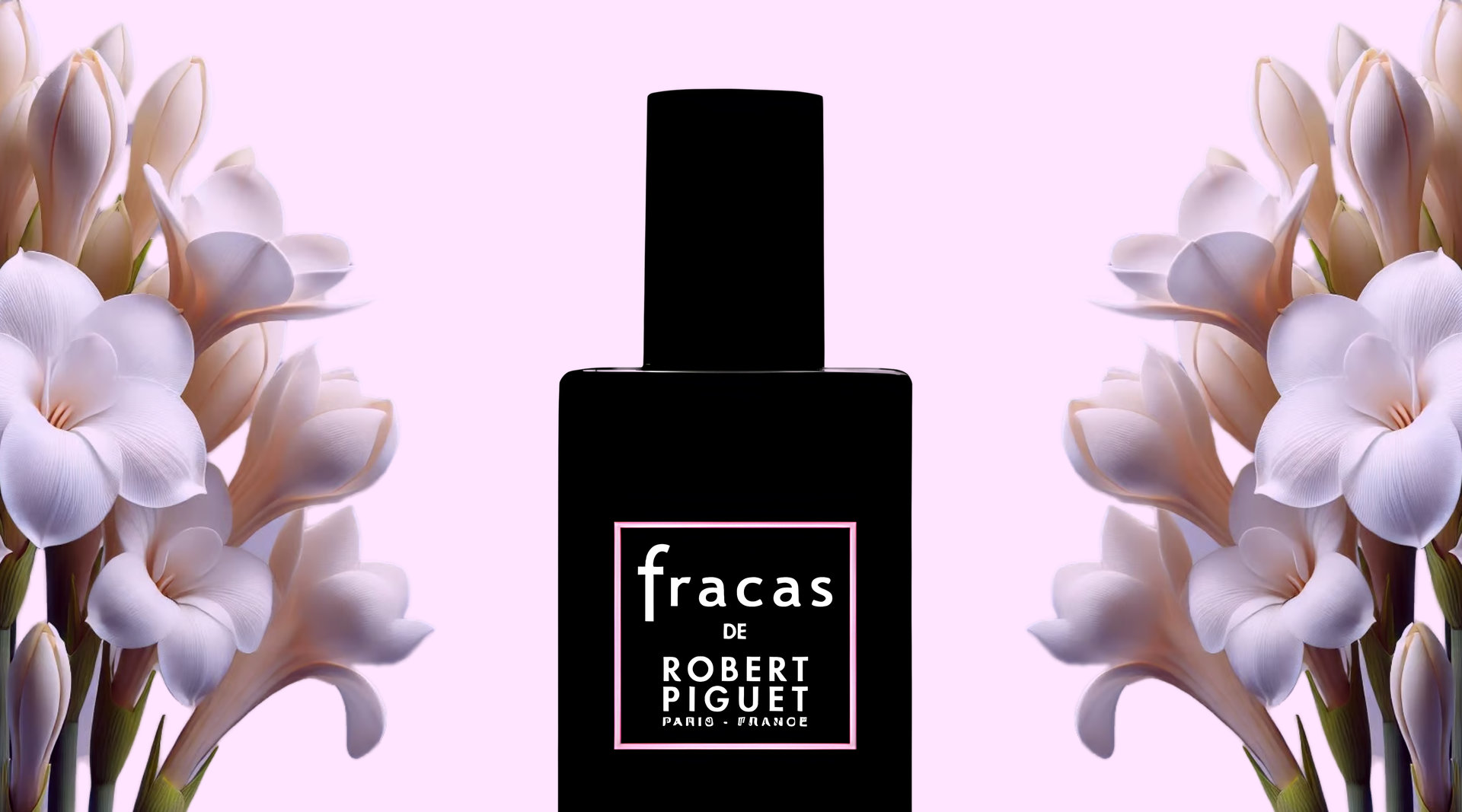 フラカス - 大胆なチューベローズの女王