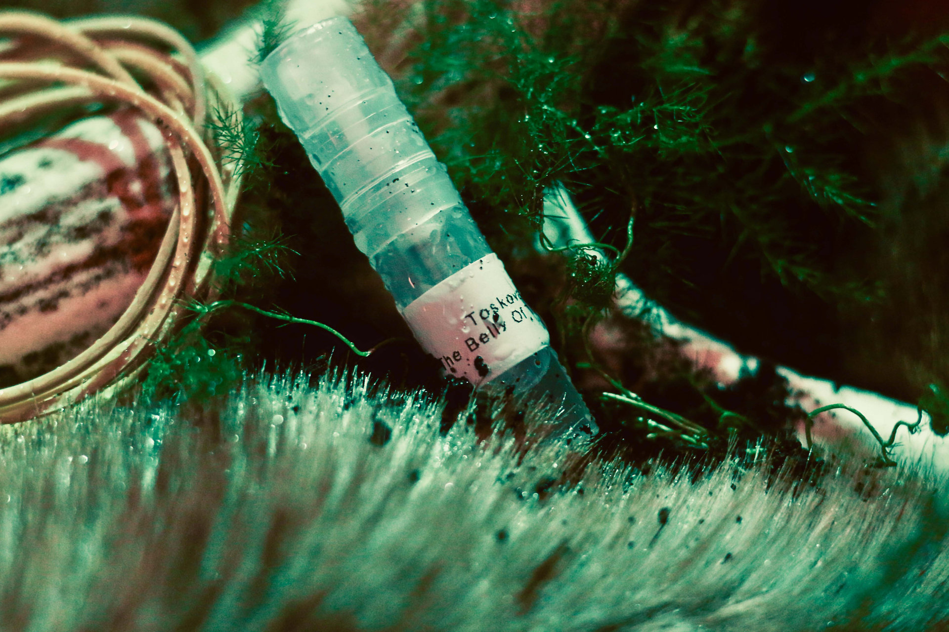 in-the-belly-of-the-beast