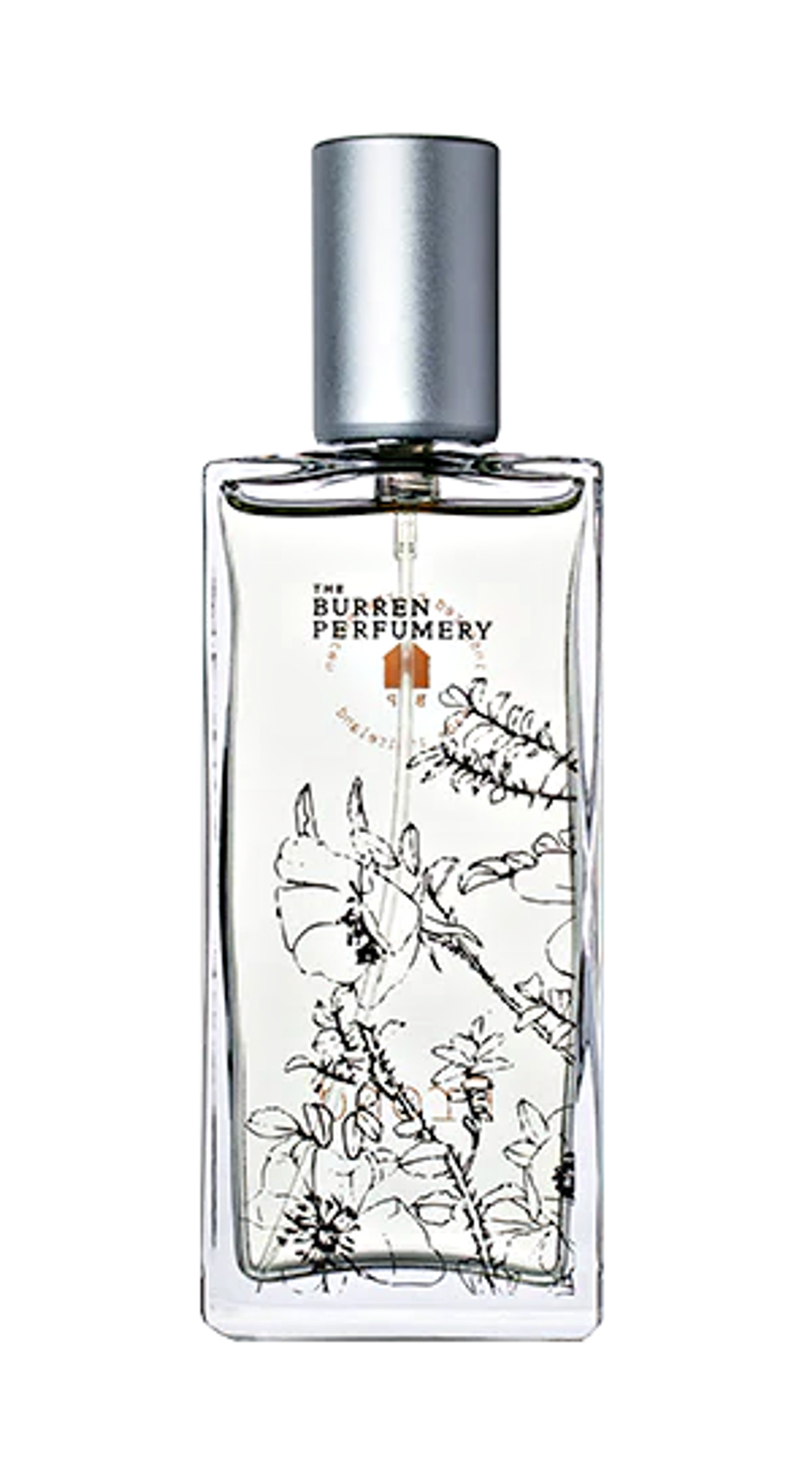 Picture of Frond fragrance