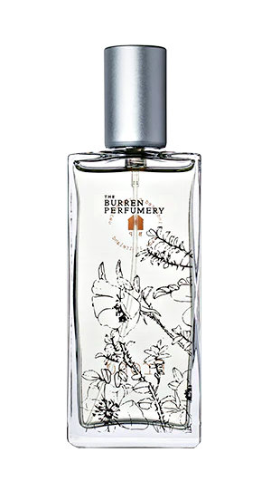 Frond by The Burren Perfumery perfume bottle