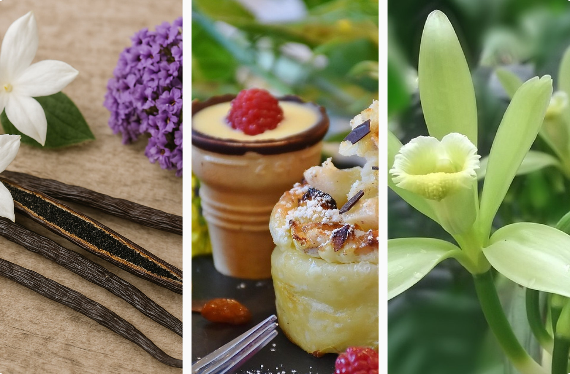 バニラの香りをかぐ方法