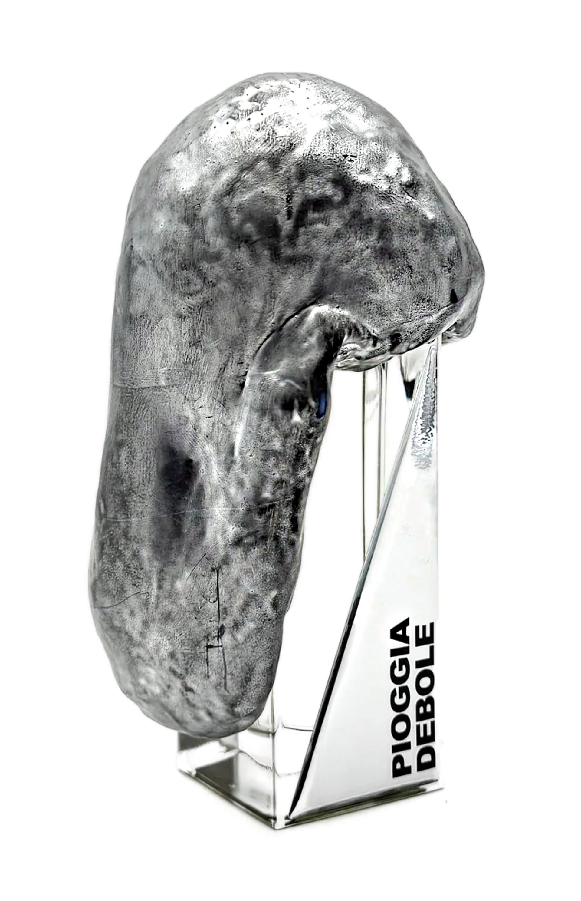 Picture of Pioggia Debole fragrance