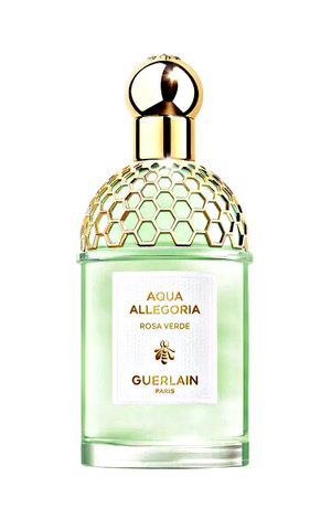 Picture of Aqua Allegoria Rosa Verde fragrance