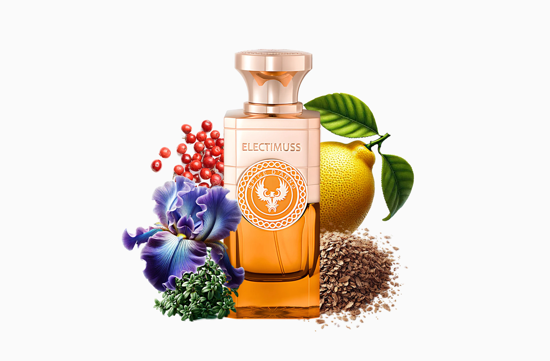 エレクティマスのスパイス・ダルノ - フレグランスレビュー