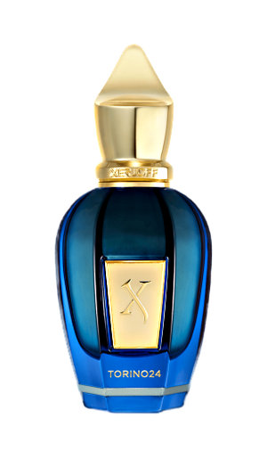 Picture of Torino 24 fragrance