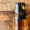 Avatar for user "venus.avenue"