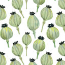 Avatar for user "rosynose"